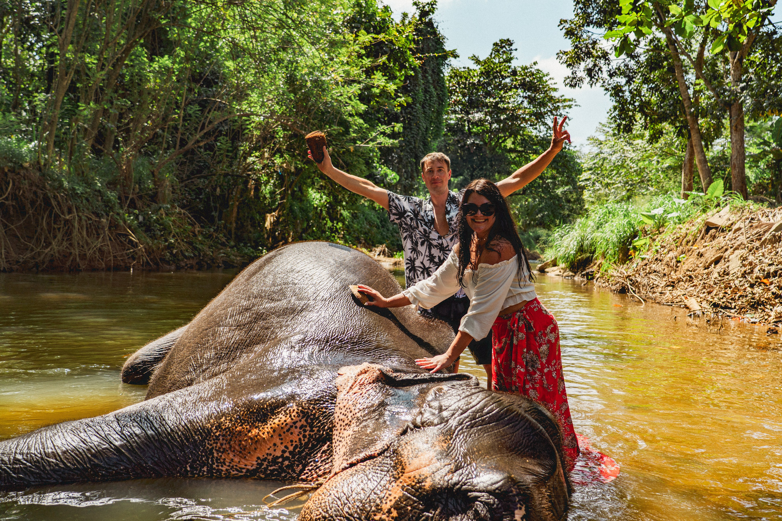 Bathing with elephants in Pinnawala, Botanical Garden