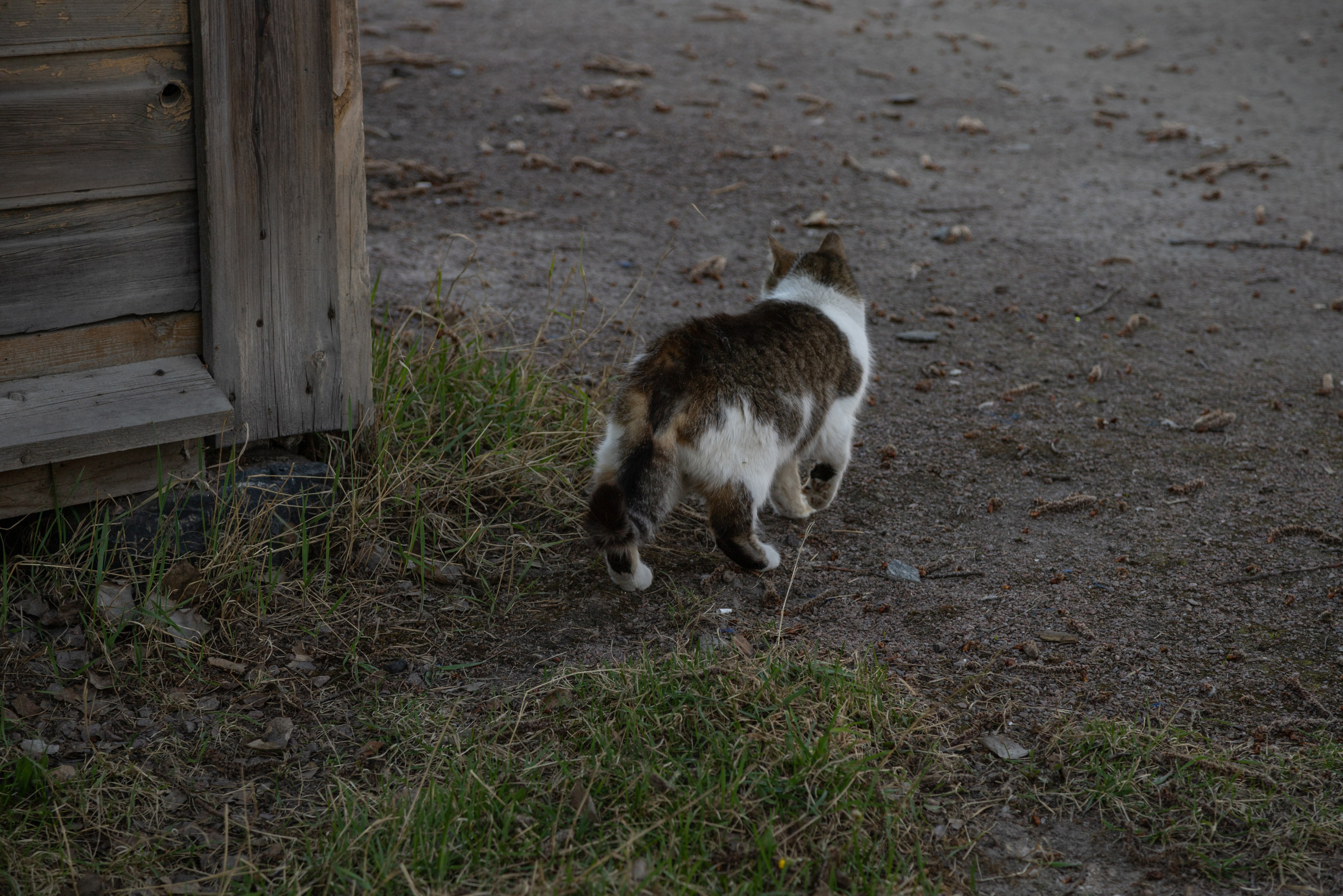 Сортавала. Интерьерный и архитектурный фотограф Солодова Алина
