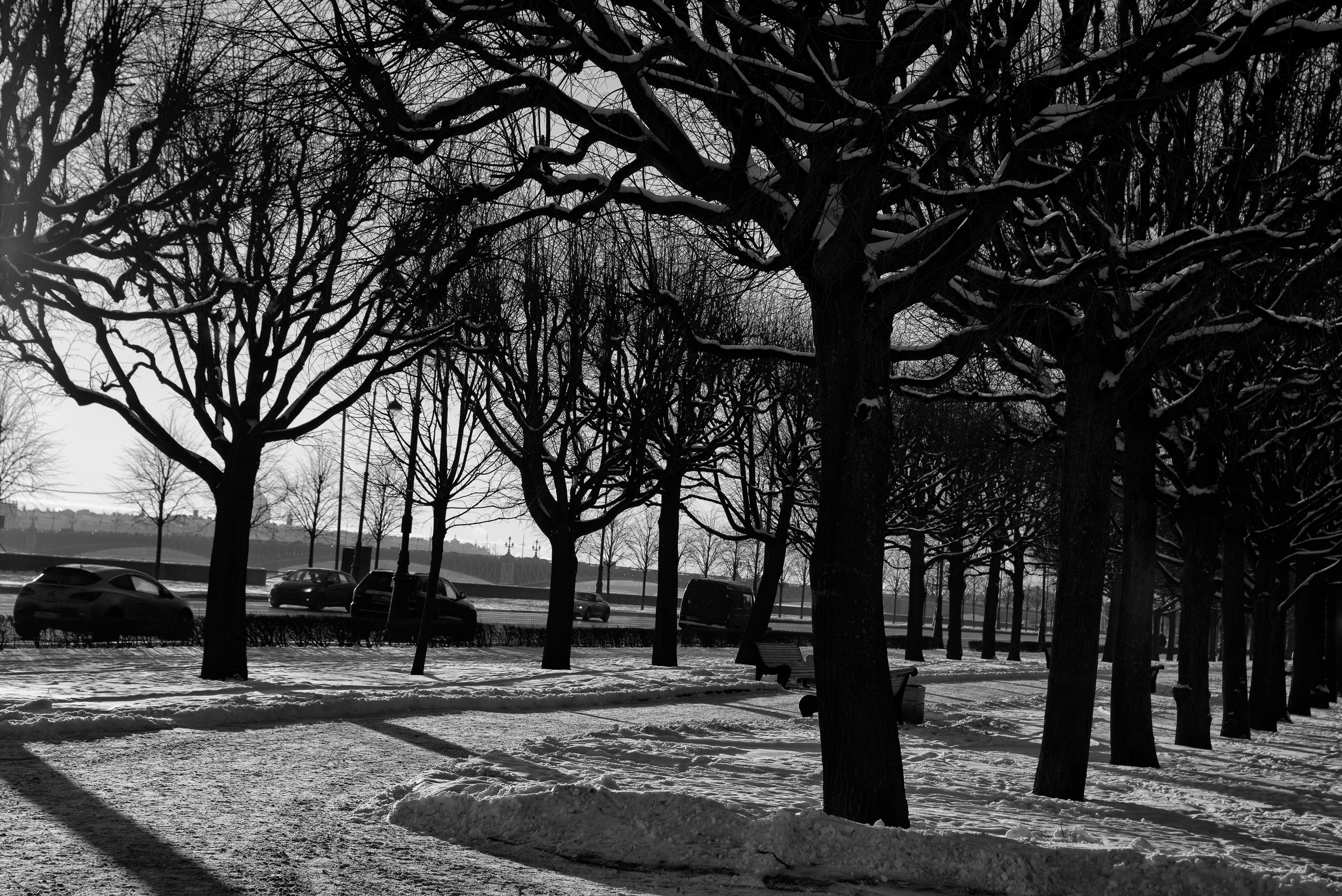 Фотограф Милена Яновска