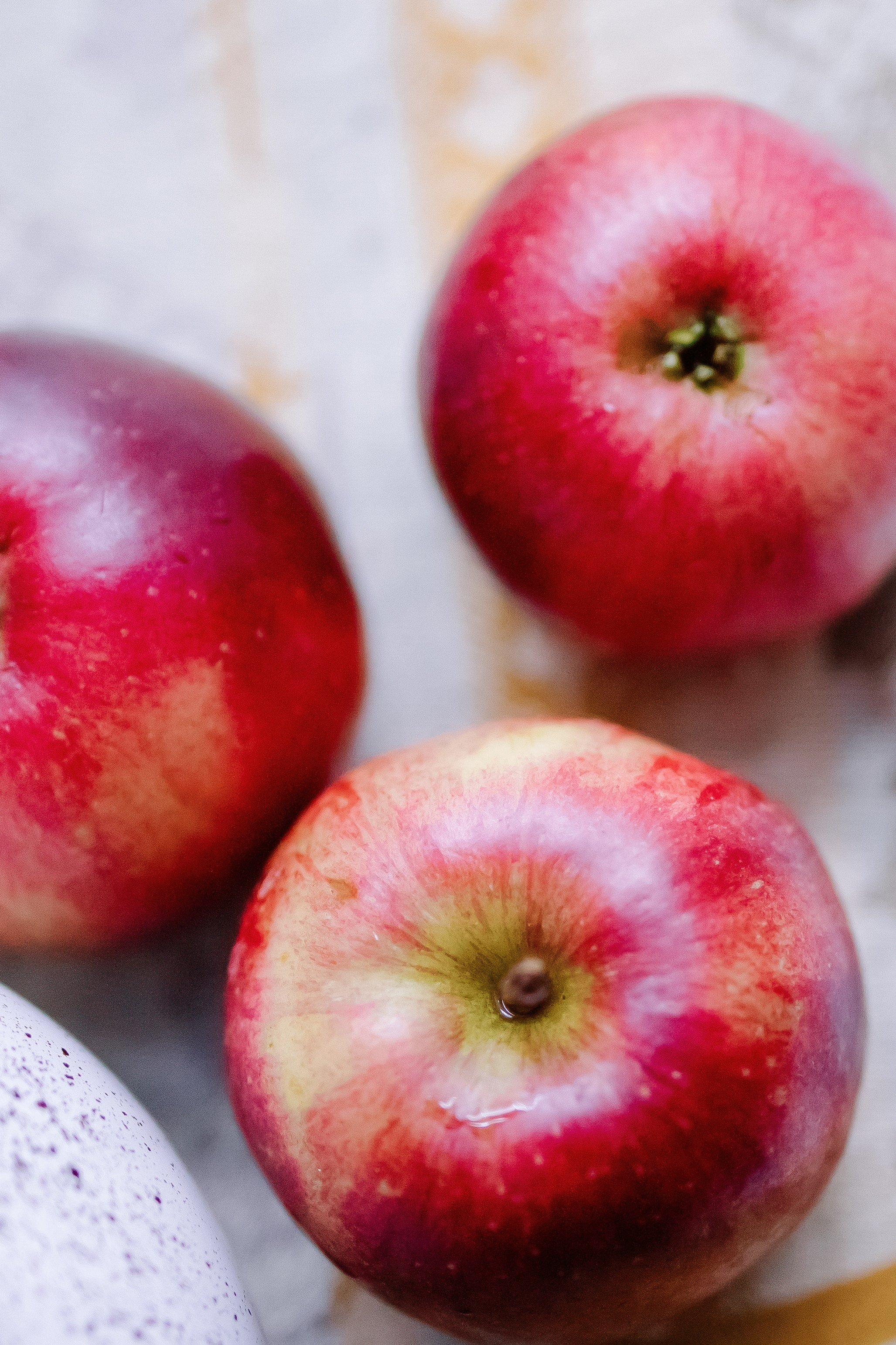 Шоу тортов 2. Свадебный фотограф