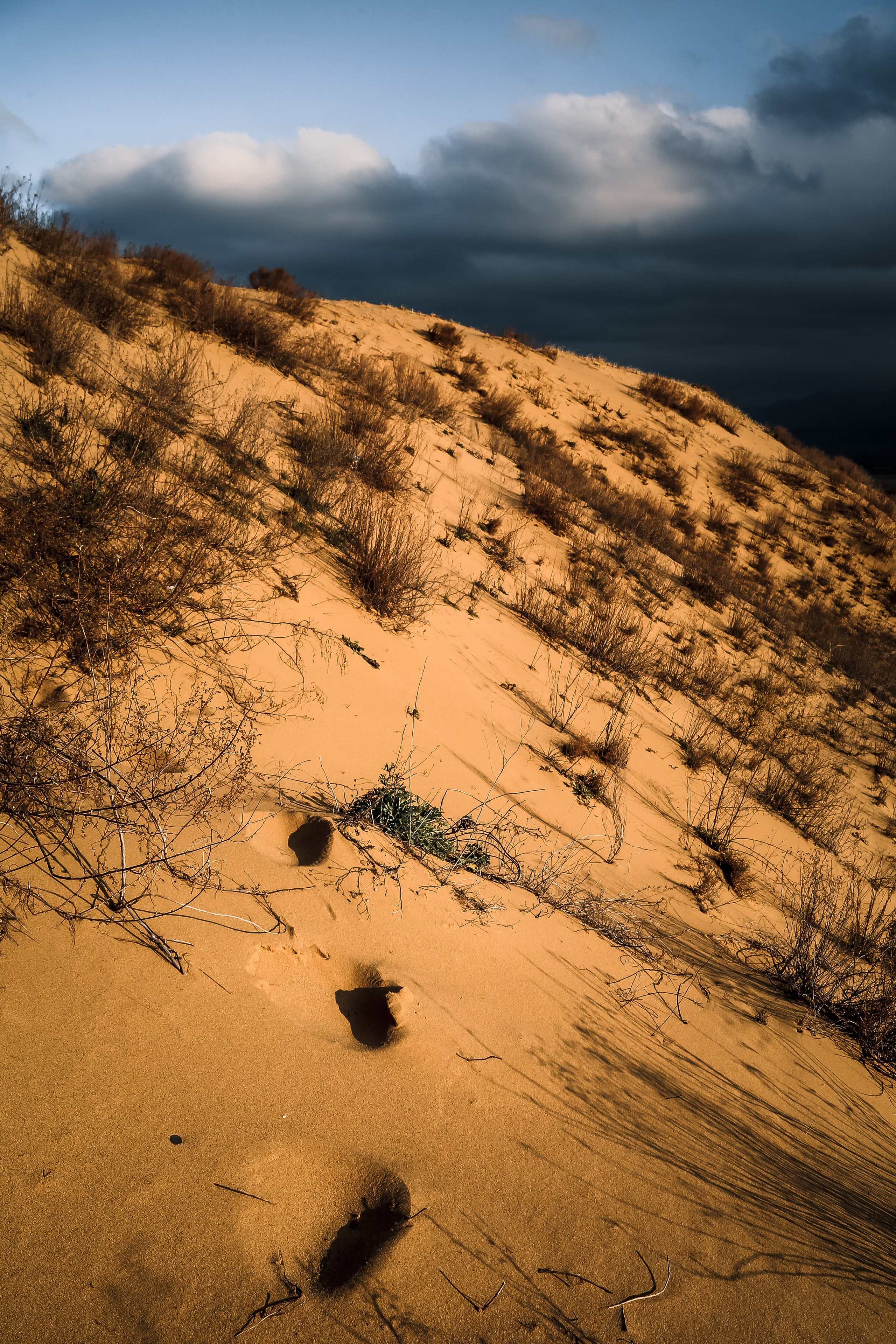 Кавказ: многоликий Дагестан. Дарья Письменюк / Darya Leitstern — фотограф, музыкант, журналист, путешественник