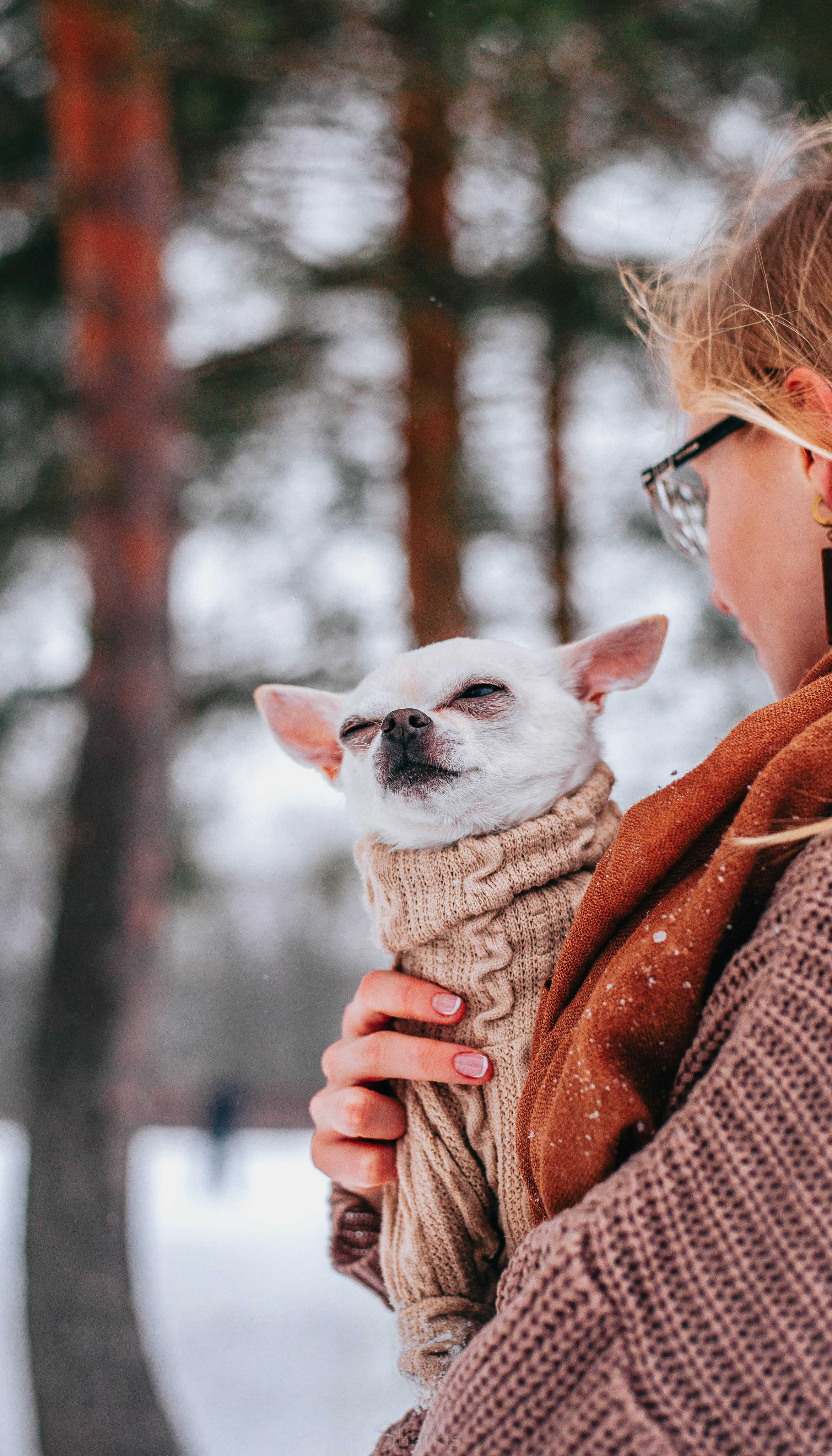 Хельга и Пёс. Главная