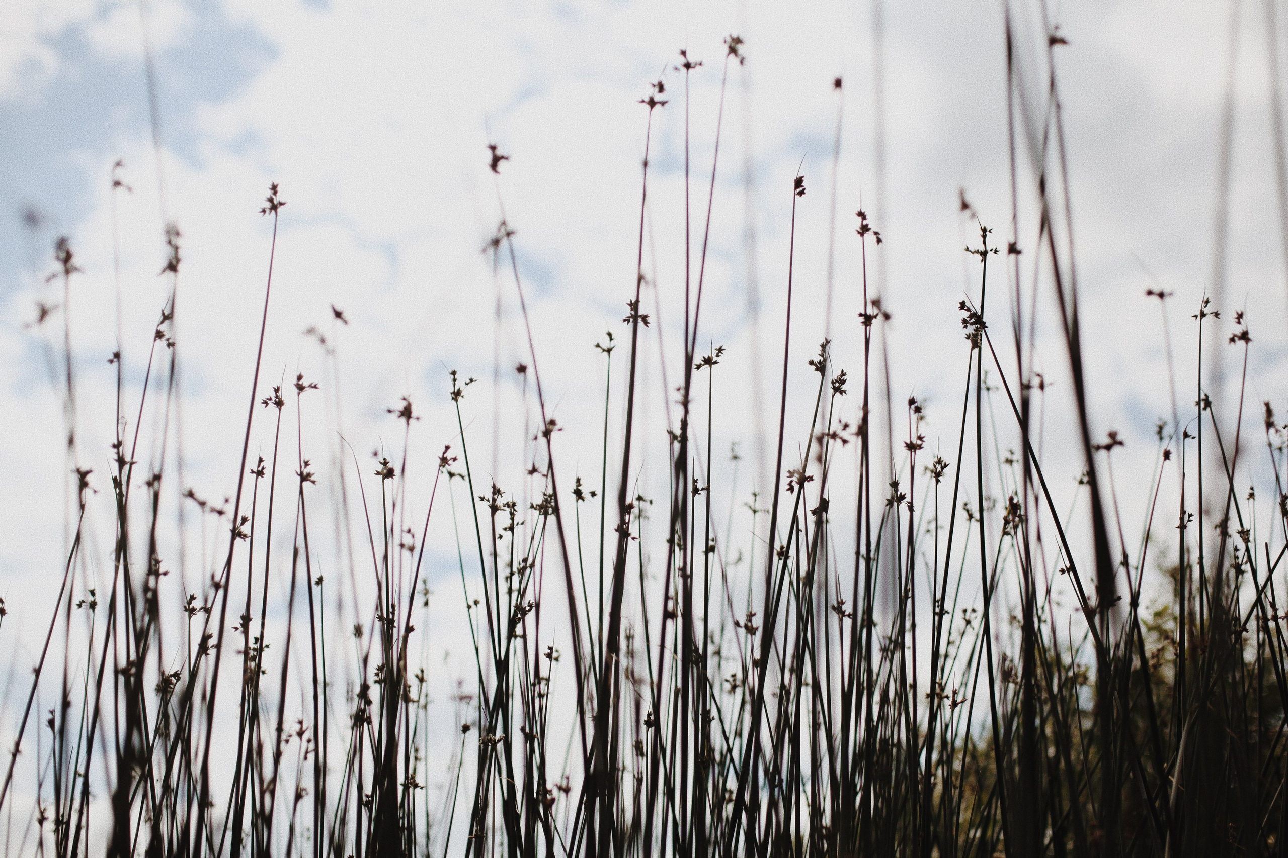 Река МИРА. Ксения Плотникова