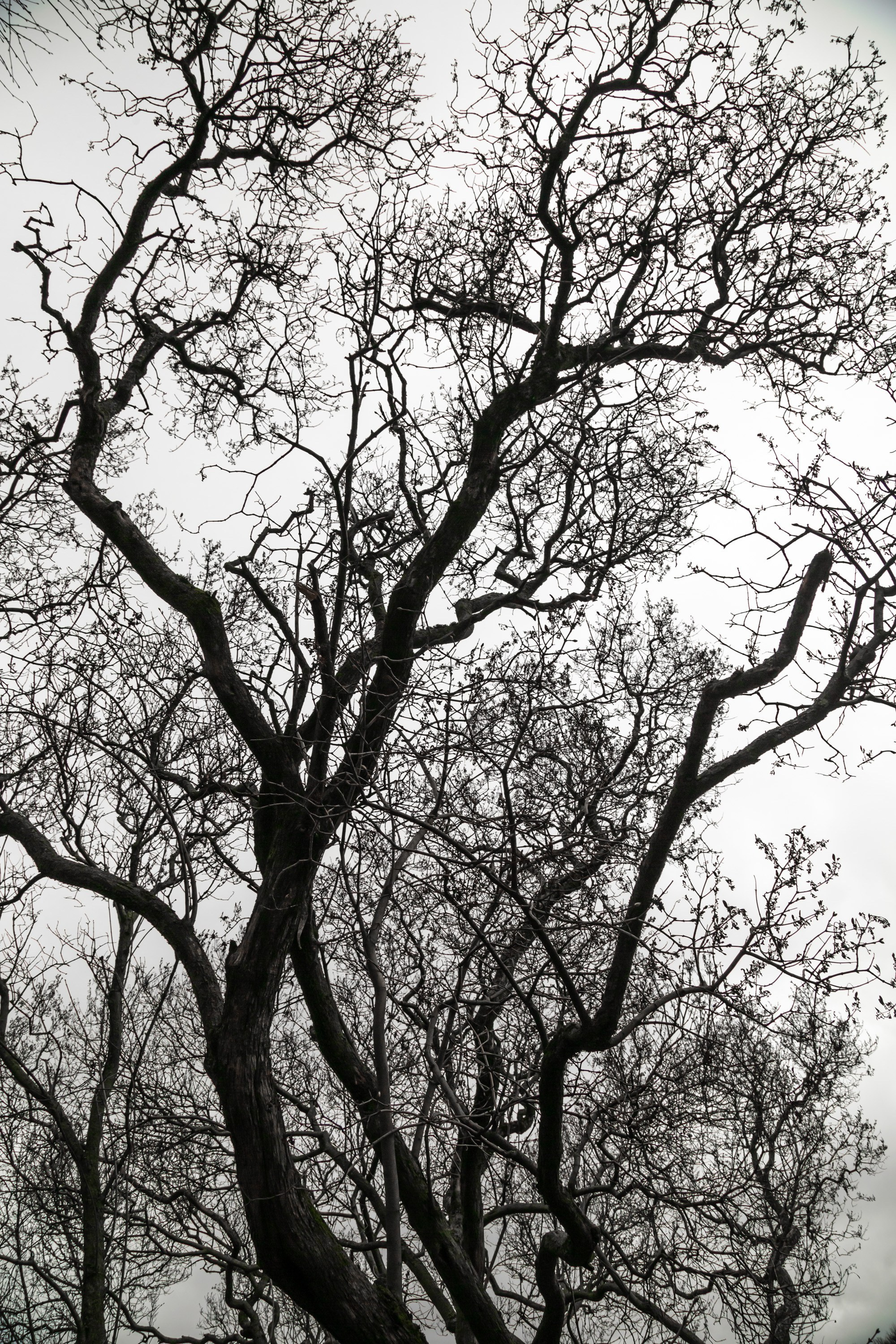 Пейзаж. Ekaterina Beridze