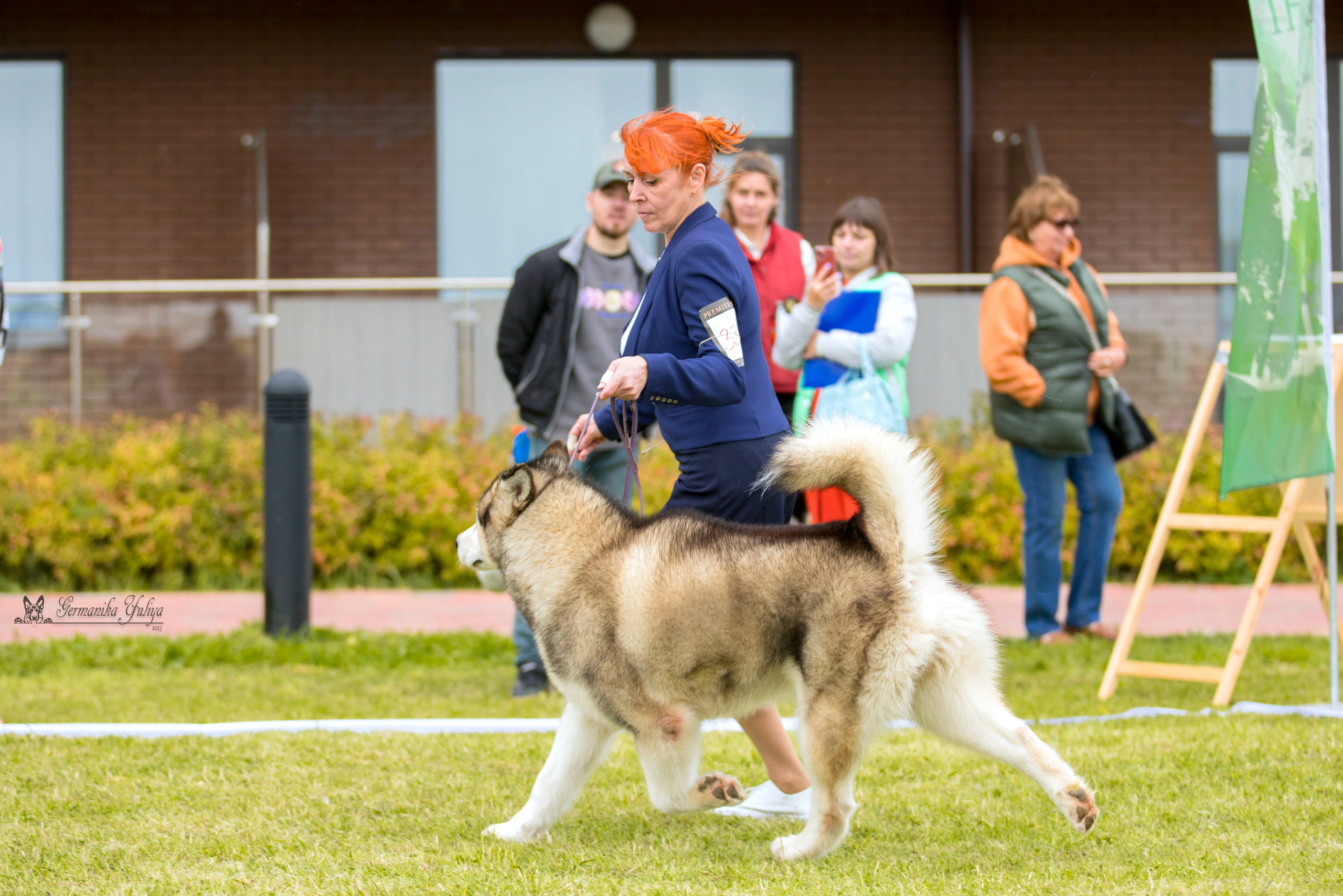 Переславль 9-10.09.2023. Фотограф-анималист Юлия Германика