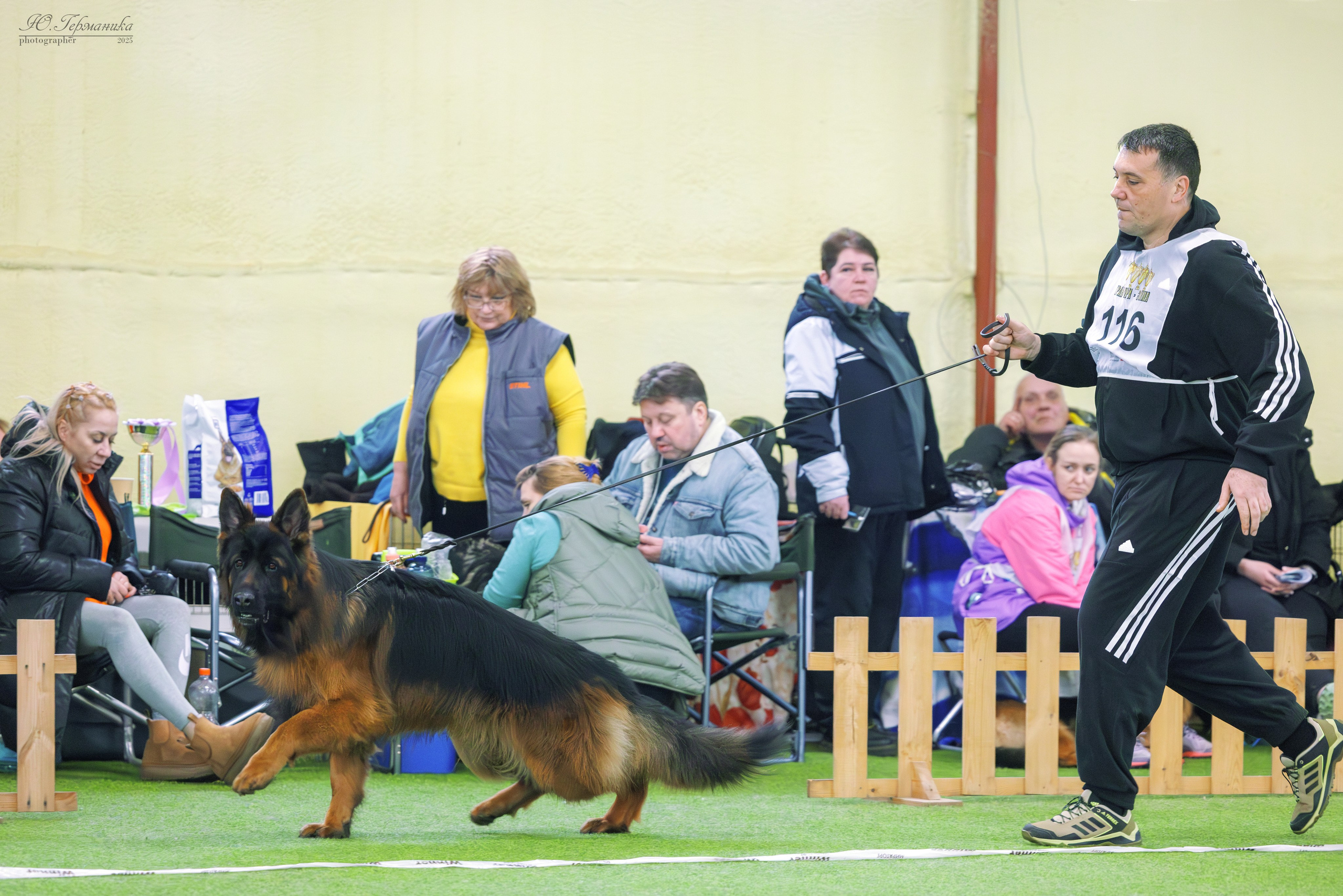 Гран-При 8.02.2025 и Крокус 09.02.2025. Фотограф-анималист Юлия Германика