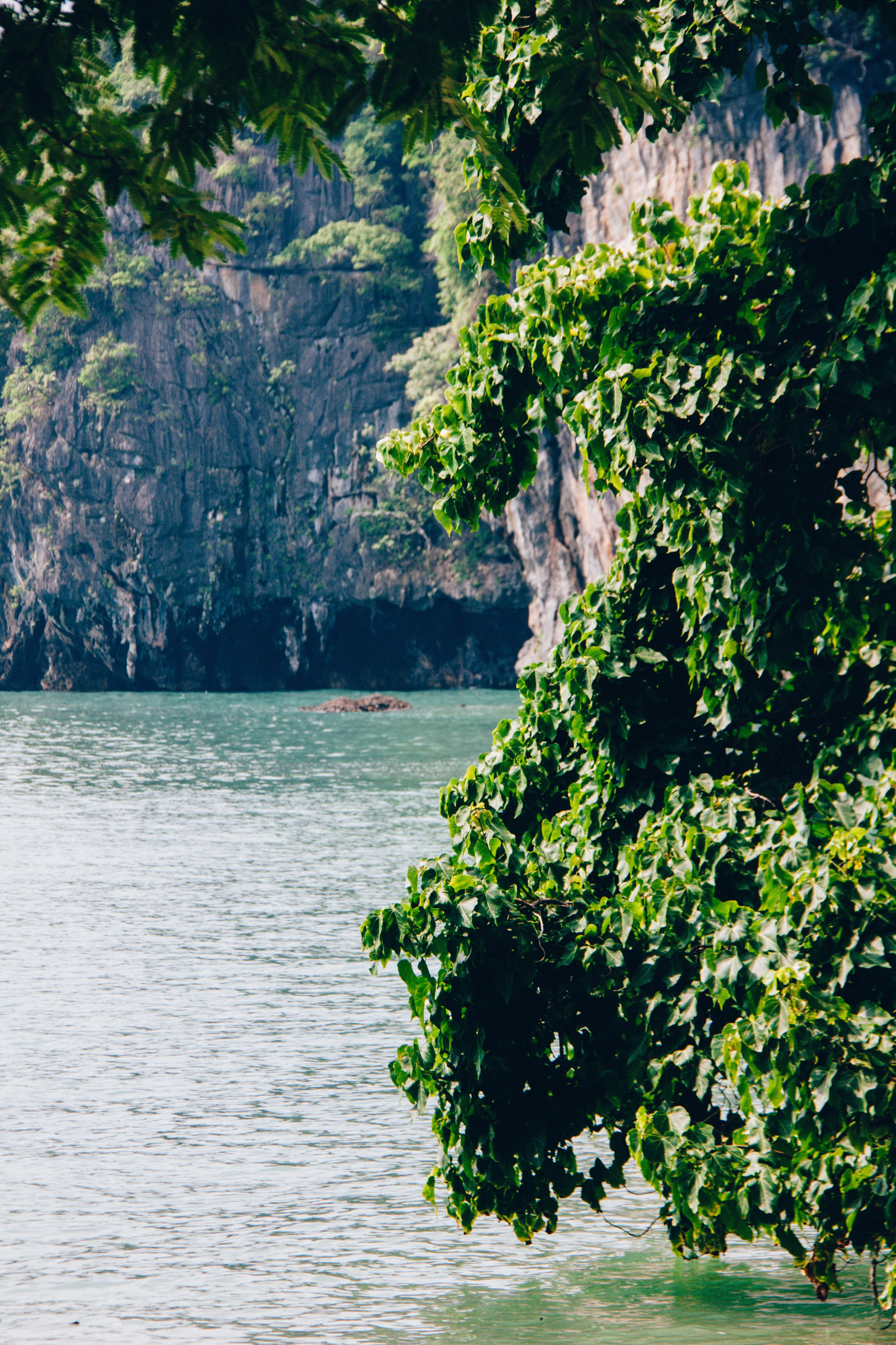Malaysia. ДарияГалямова — фотограф: открытый, творческий, коммерческий