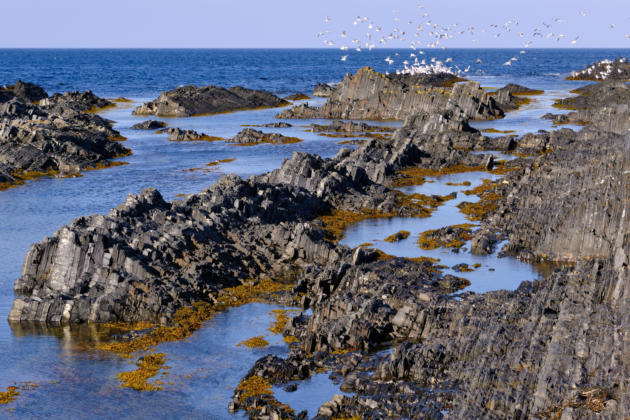 Полуостров Рыбачий. Пейзажи Крайнего Севера. Баренцево море, Рыбачий, Средний, Немецкий