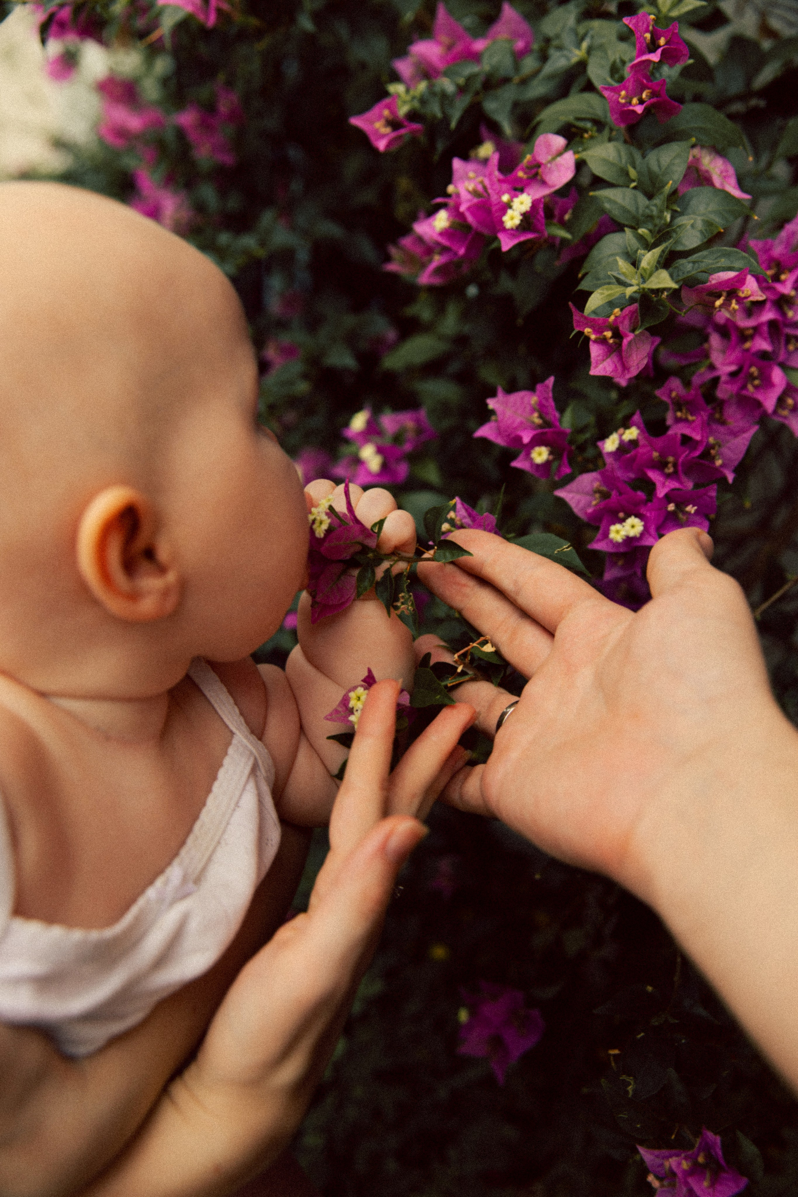 Katya+ Sergey+ Ksusha. Портретный фотограф / Панама / Анастасия Елизарова