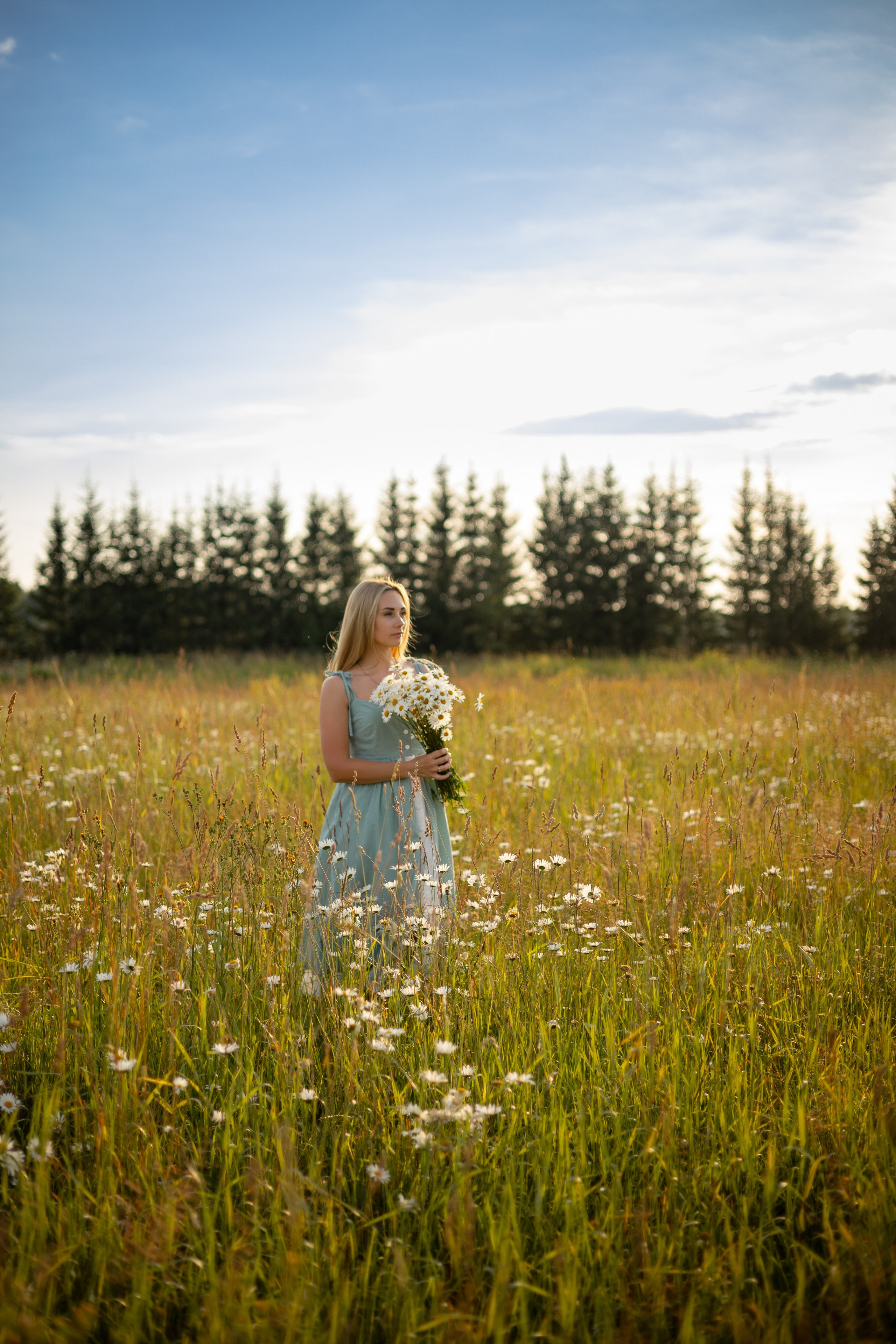 Индивидуальная фотосессия. Ромашки. Фотограф Самойлова Анна Архангельск, Северодвинск