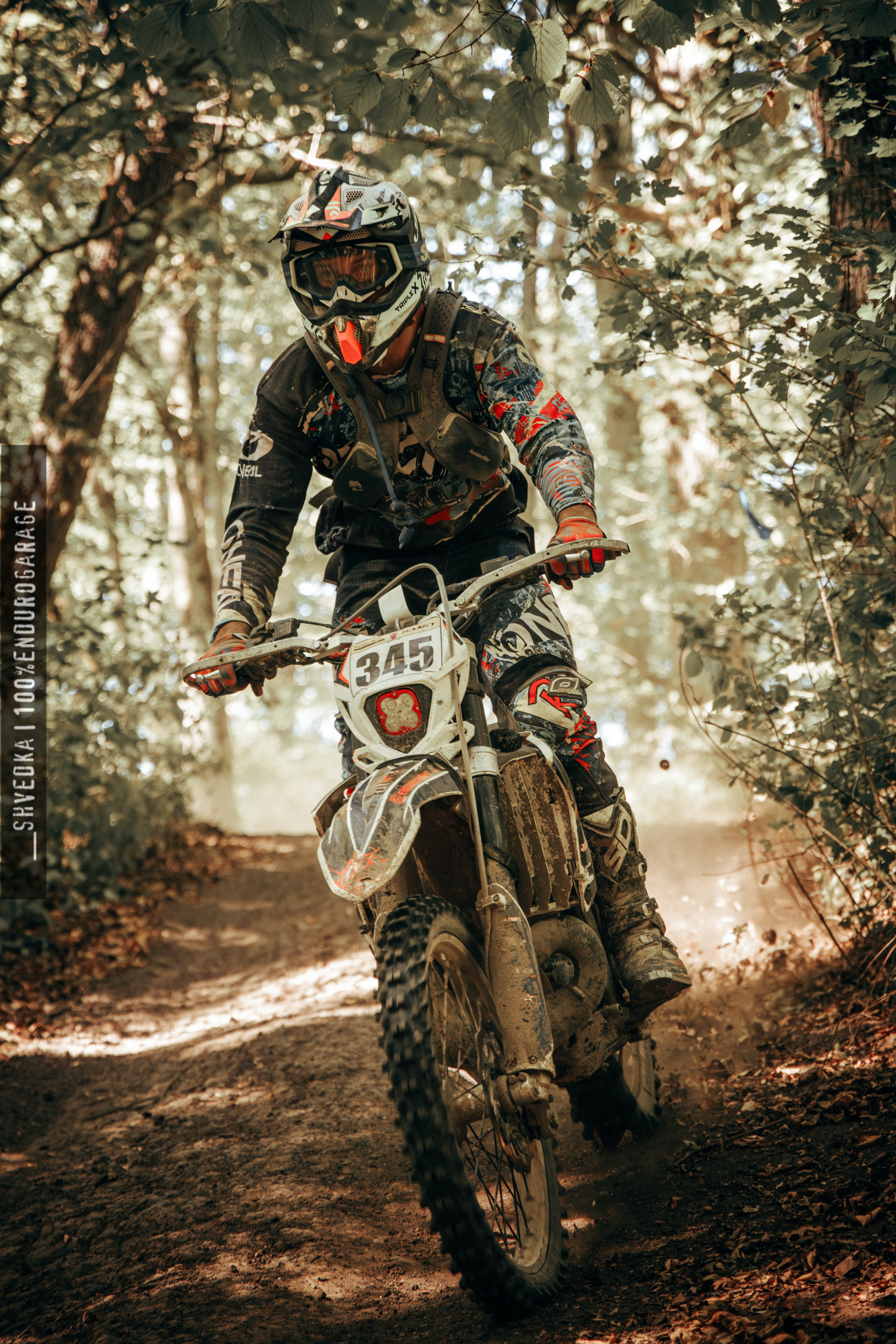 2 лесной день. Ваш экстрим фотограф Кудрева Яна