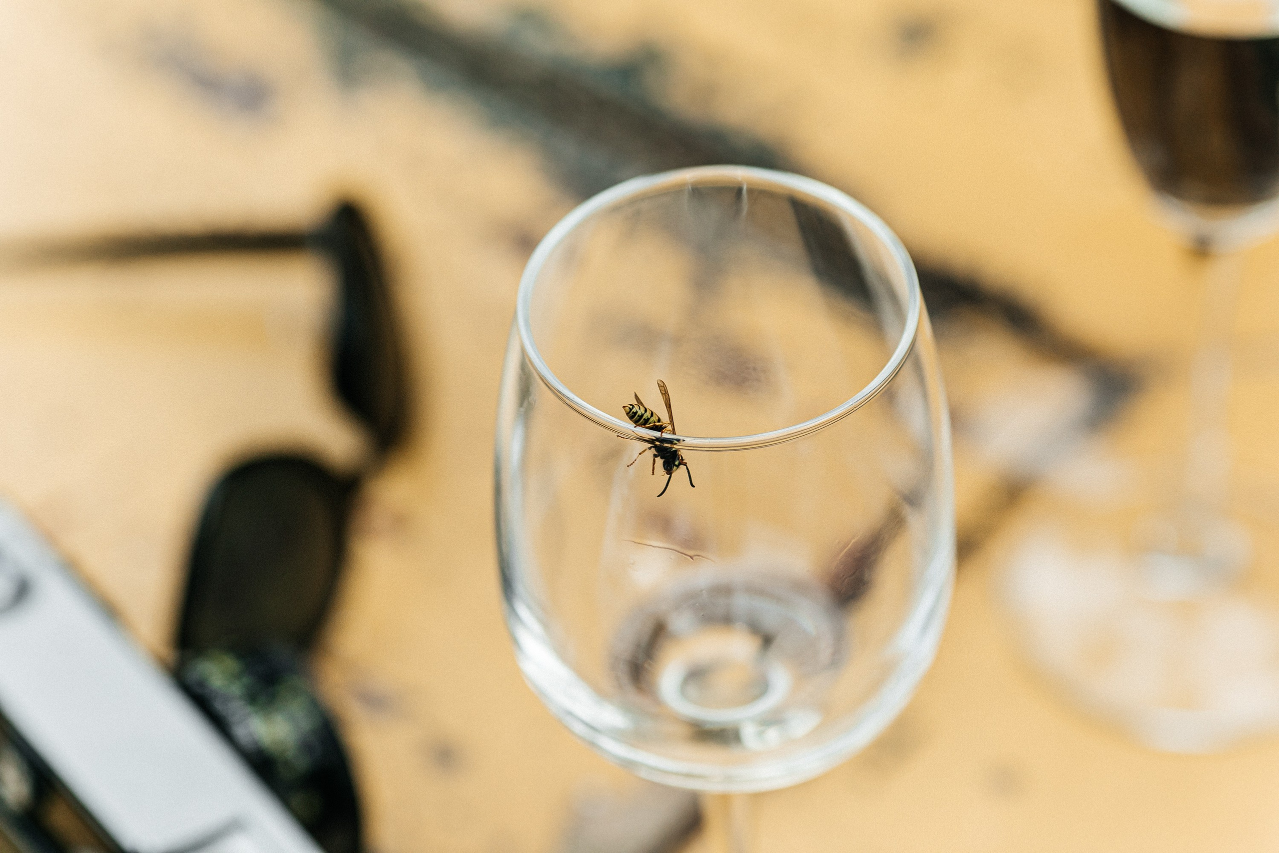 Don’t Stop The Party. Свадебный и репортажный фотограф