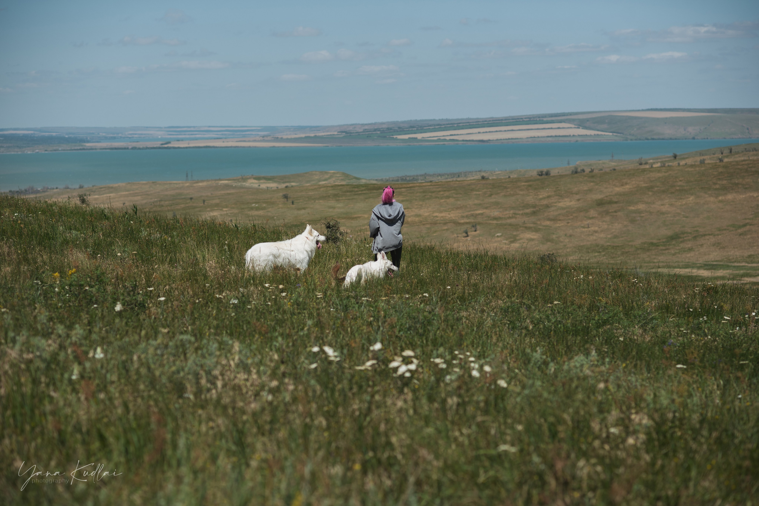 Одно солнечное утро. Фотограф анималист Ставрополь Яна Кудлай
