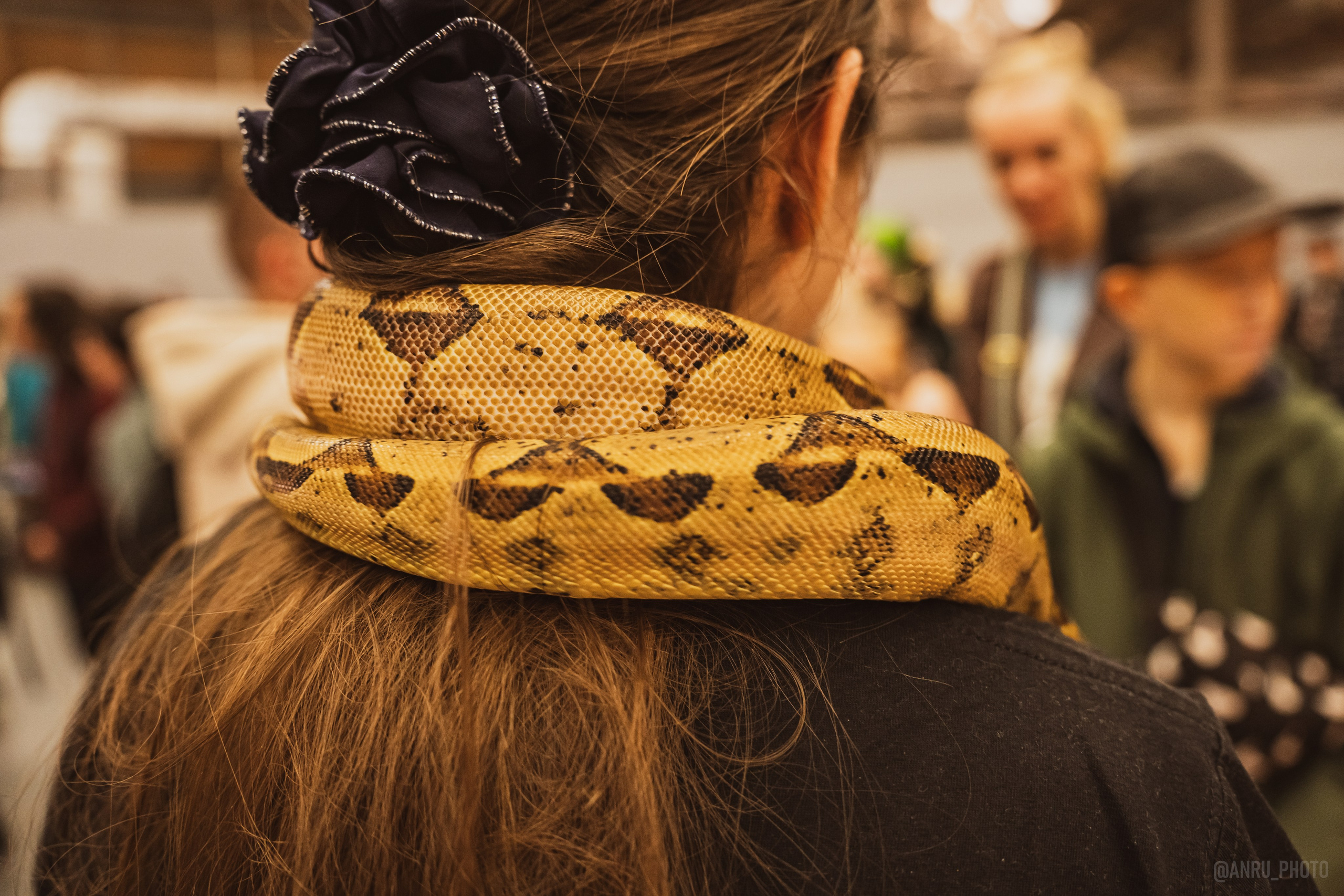 Fox Family fest. Репортажный фотограф Анастасия Рубцова