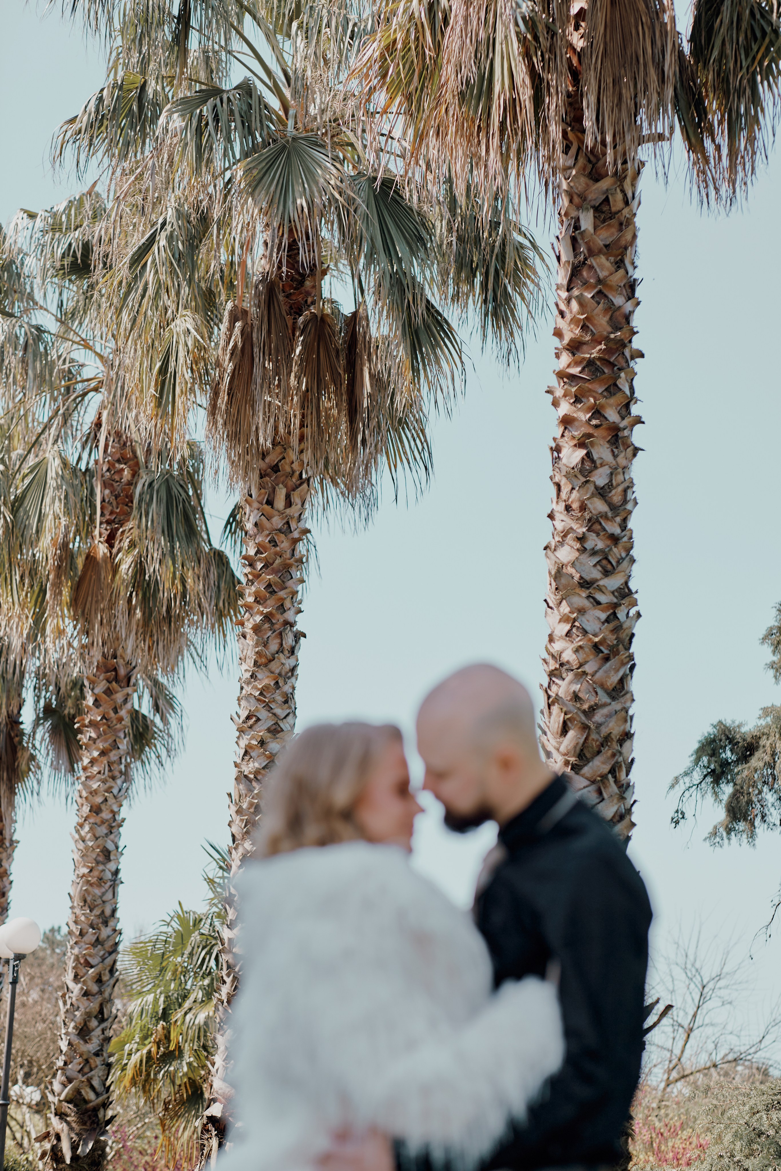 Евгений и Алёна. Свадебный и семейный фотограф в Сочи-Красной поляне Ларионова Анна