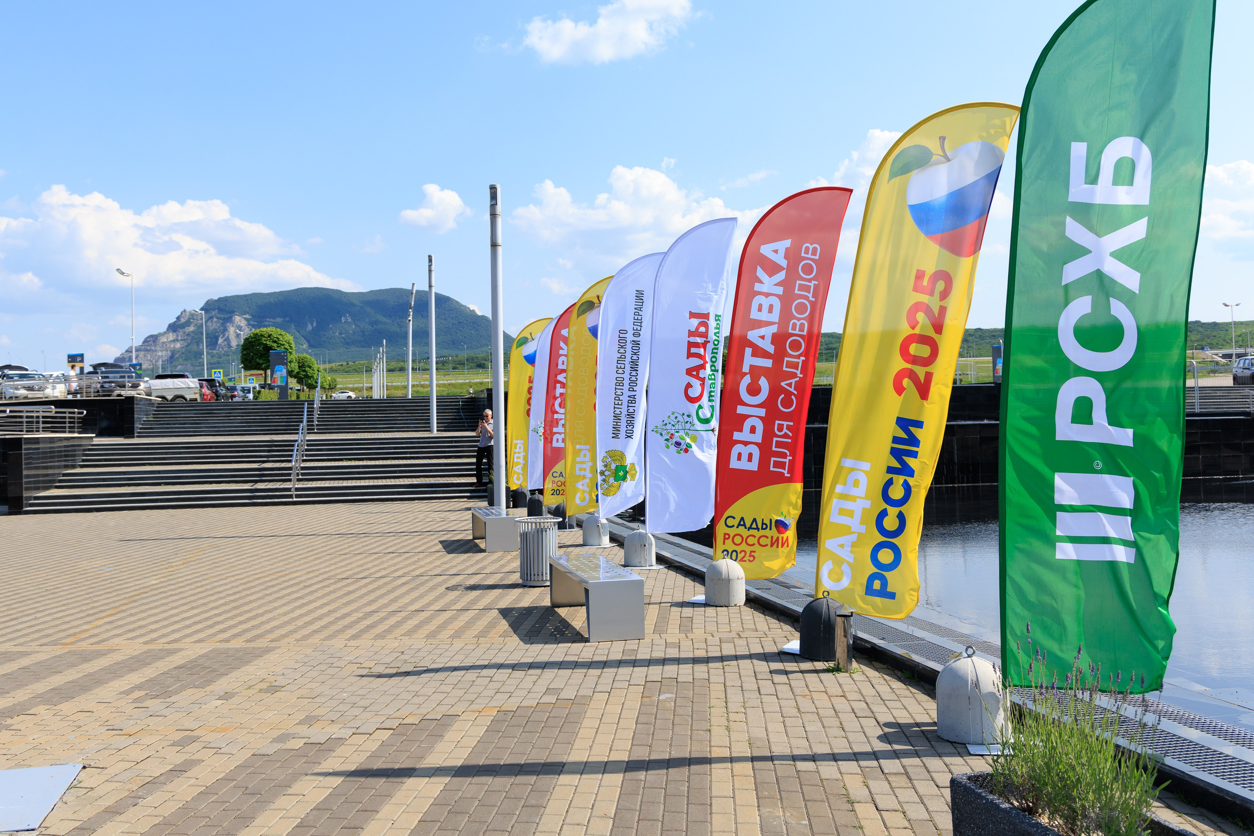 Репортажный фотограф. Репортажная фотосъёмка Минеральные Воды, Пятигорск, Кисловодск, Ставрополь. Репортажный и свадебный фотограф Пятигорск и КМВ