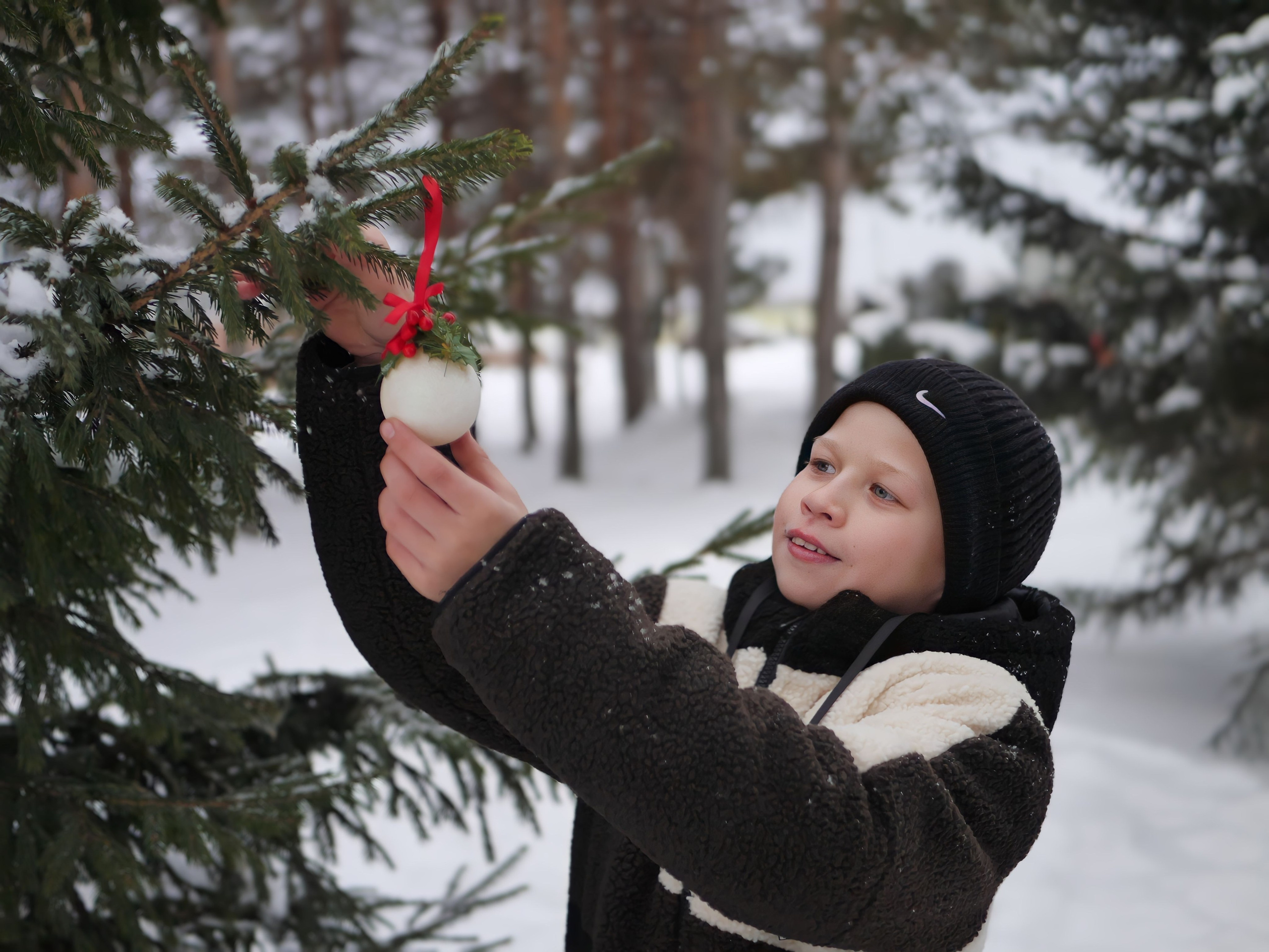 Зимняя серия