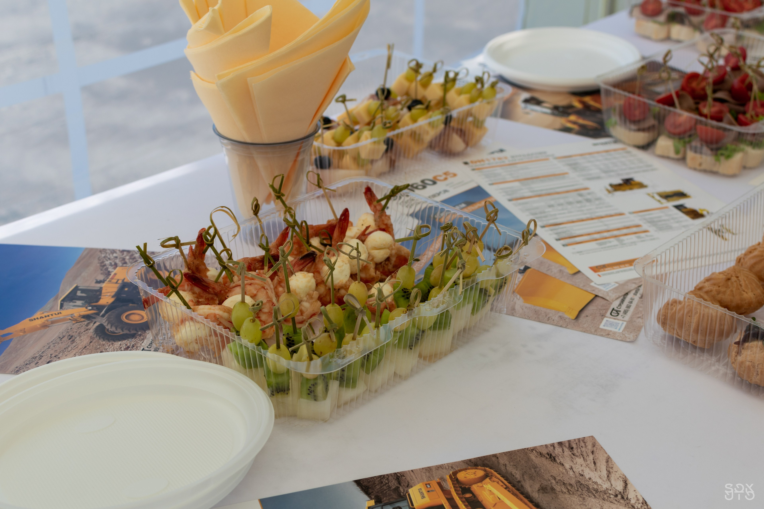 Строительная компания SHANTUI