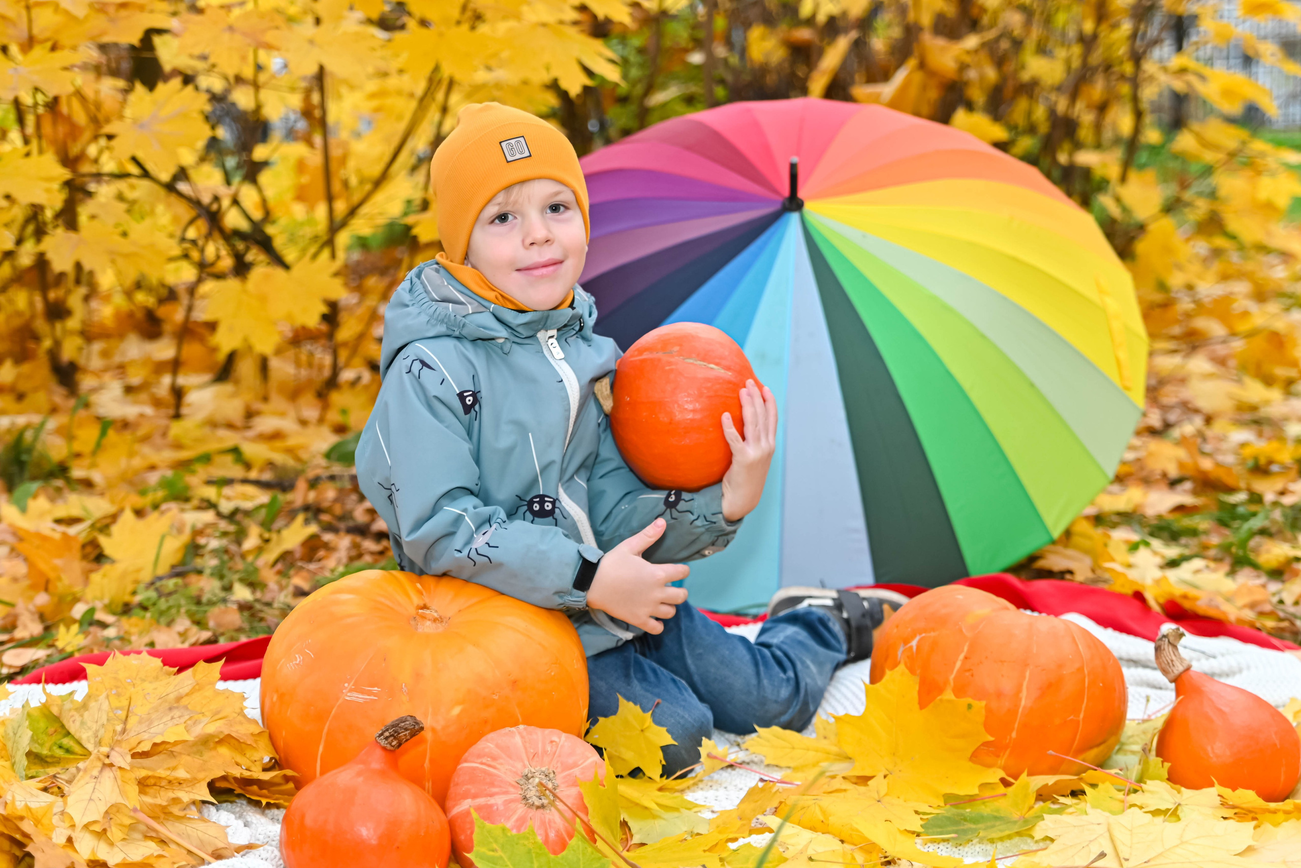 Золотая осень. Выпускные альбомы для детских садов Санкт-Петербург