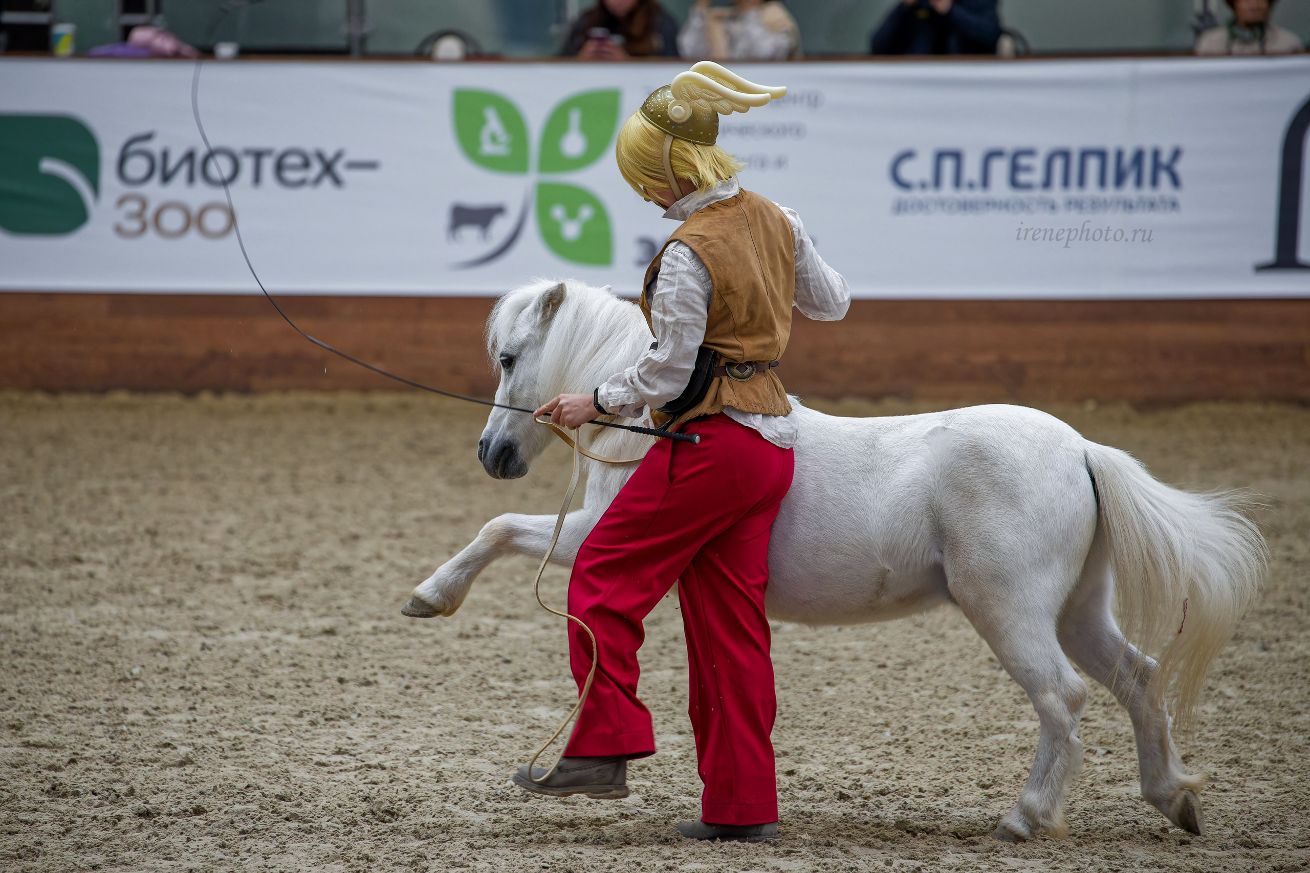 Конная Россия 2024. Irenephoto.ru