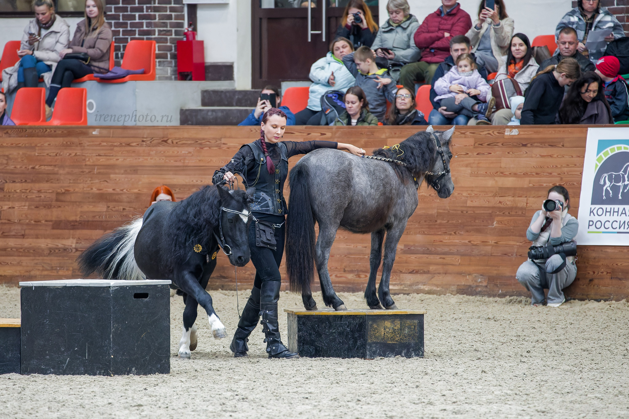 Конная Россия 2024. Irenephoto.ru