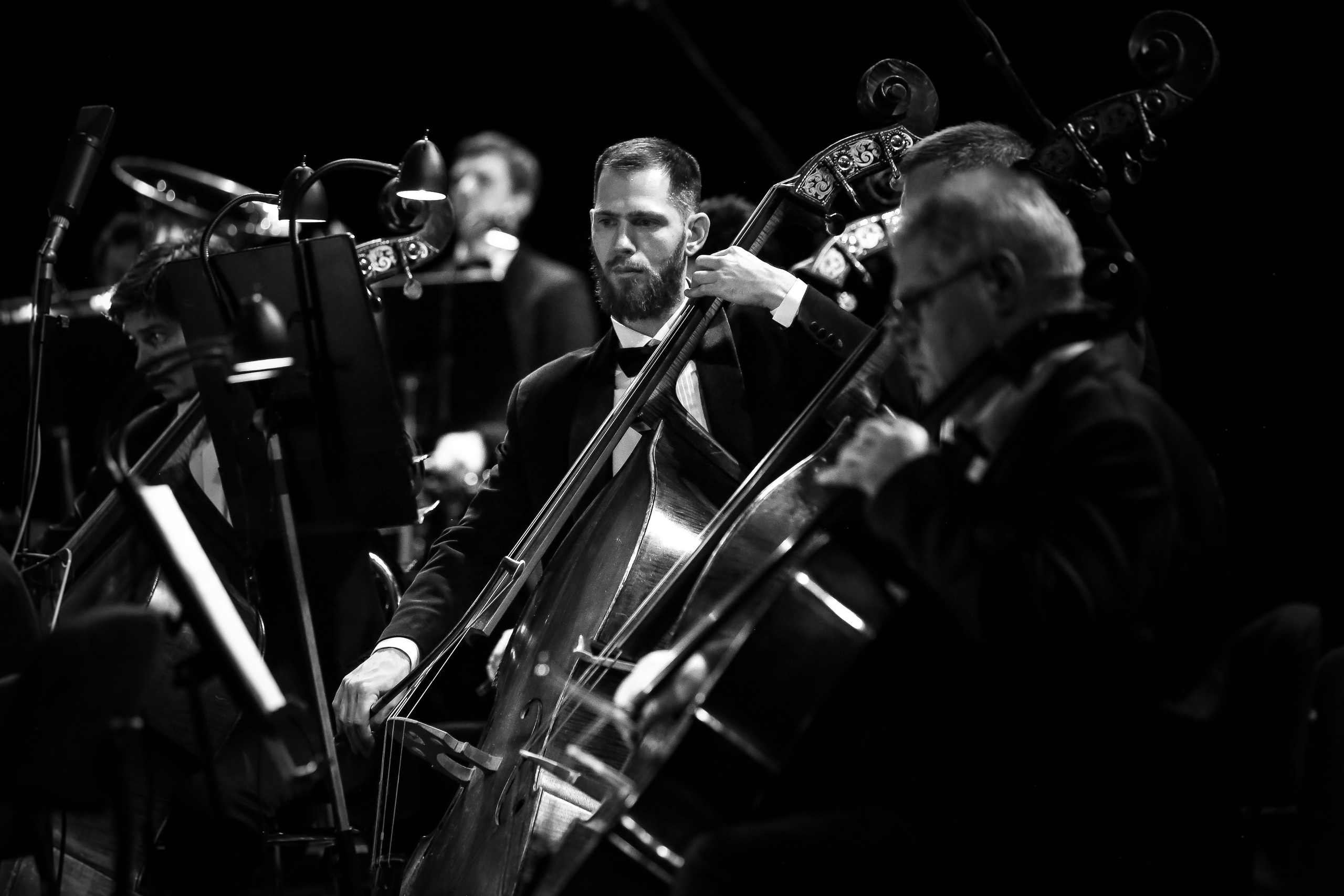 Крещенский фестиваль — 2023. Дарья Письменюк / Darya Leitstern — фотограф, музыкант, журналист, путешественник