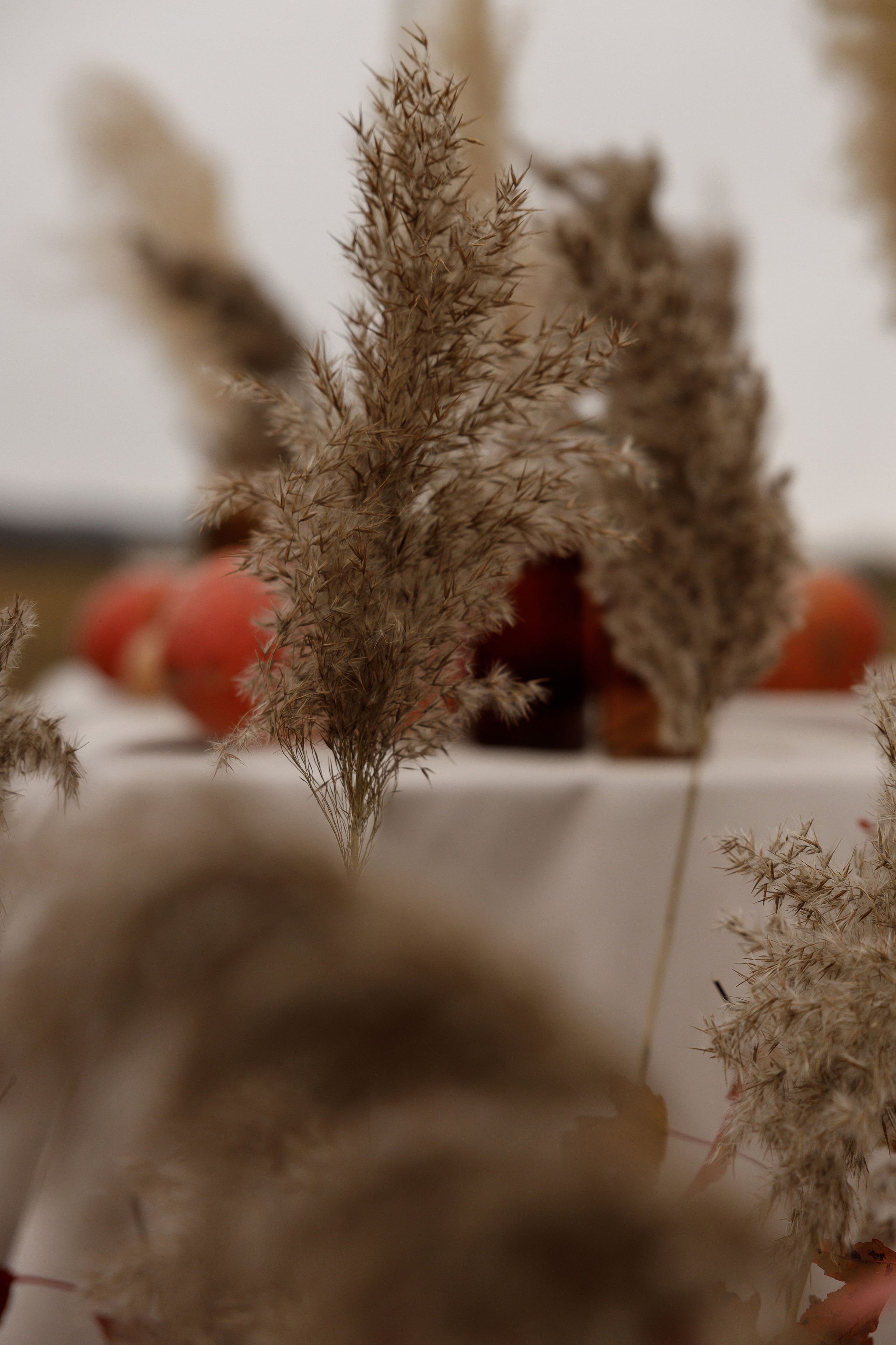 Ясная Поляна. Свадебный и семейный фотограф  во Владивостоке Ольга Украинец