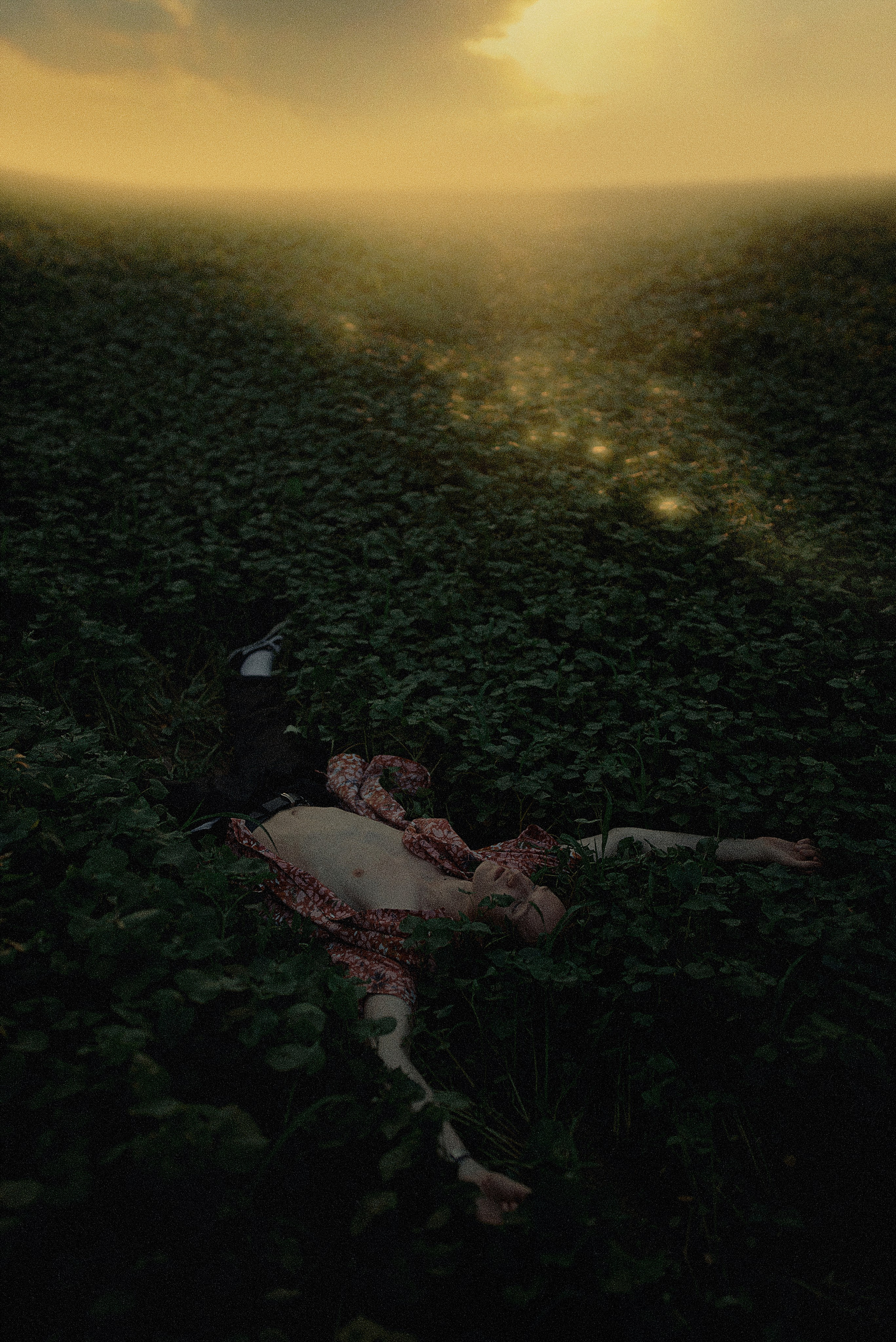 Игорь в гороховом поле. Антон Арнольд | Фотограф Минск