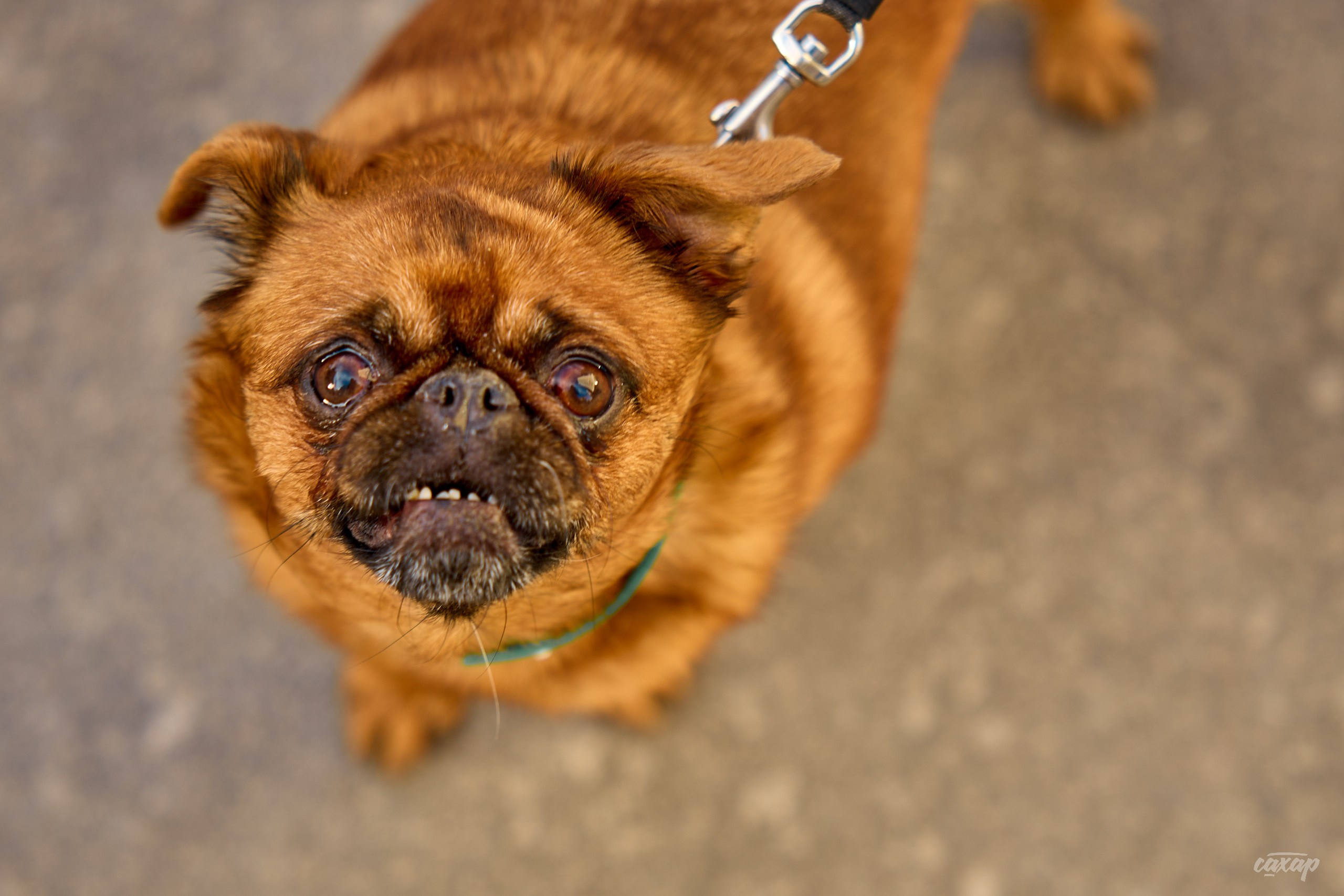 Не чай с Сахаром от 2024_06_18. Профессиональный фотограф в Екатеринбурге Юра Сахар