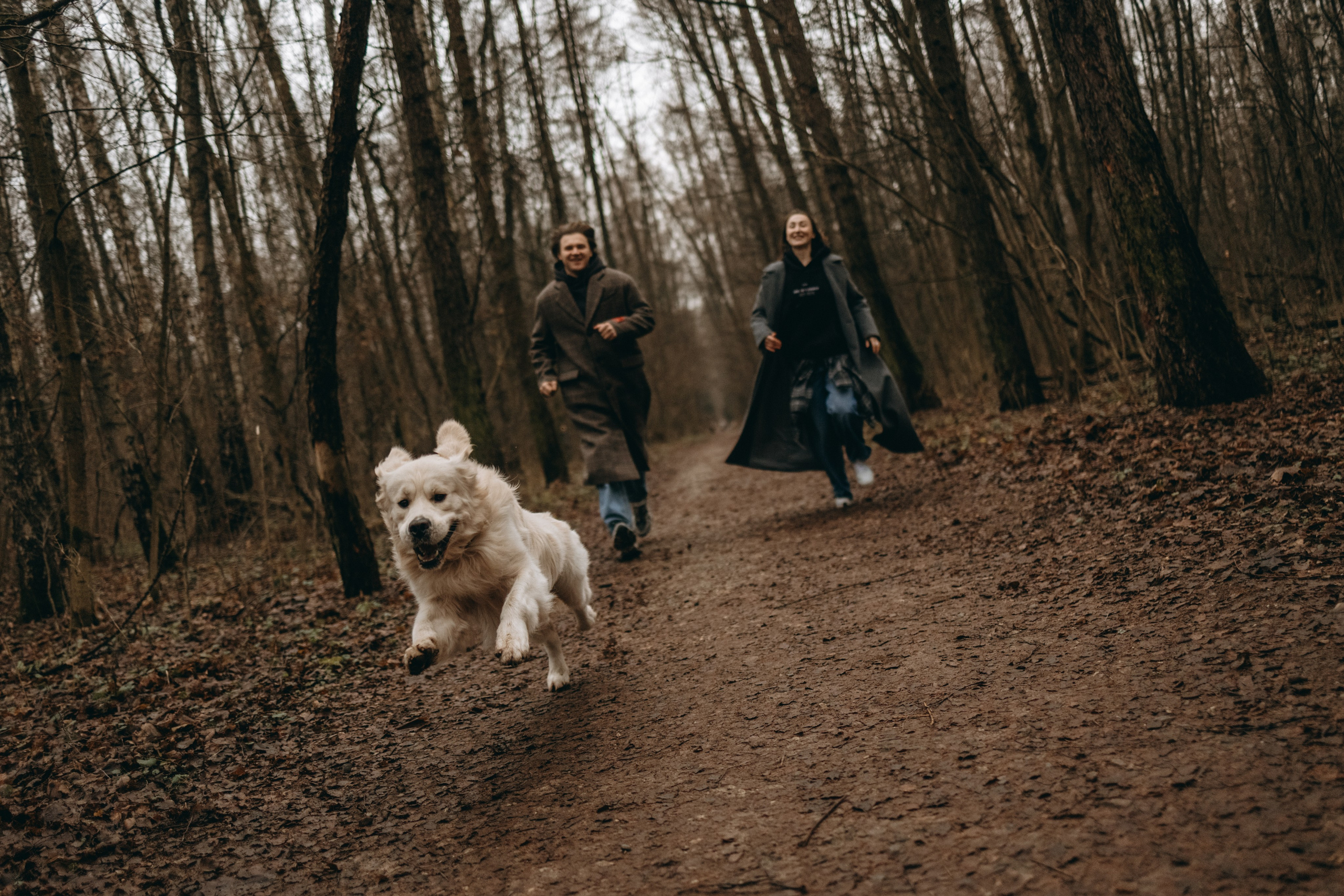 Лаки и его семья. Фотограф — Анималист | Санкт-Петербург