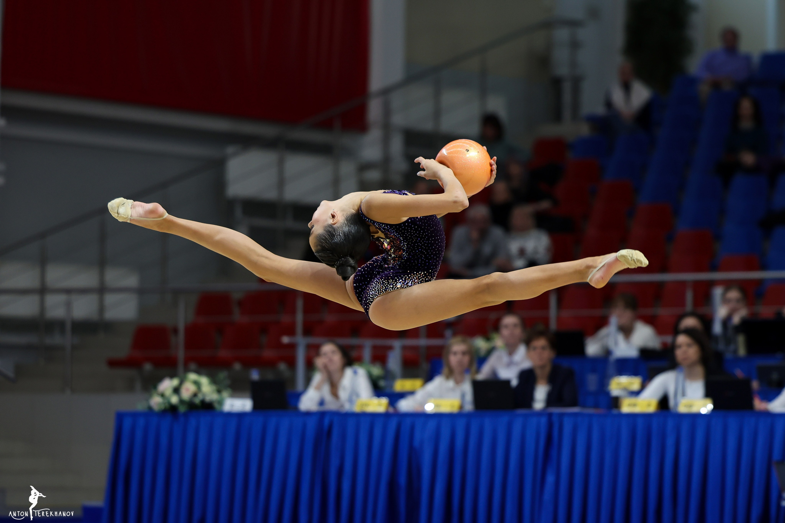 Чемпионат Санкт-Петербурга 2024. Спортивный и репортажный фотограф Антон Тереханов