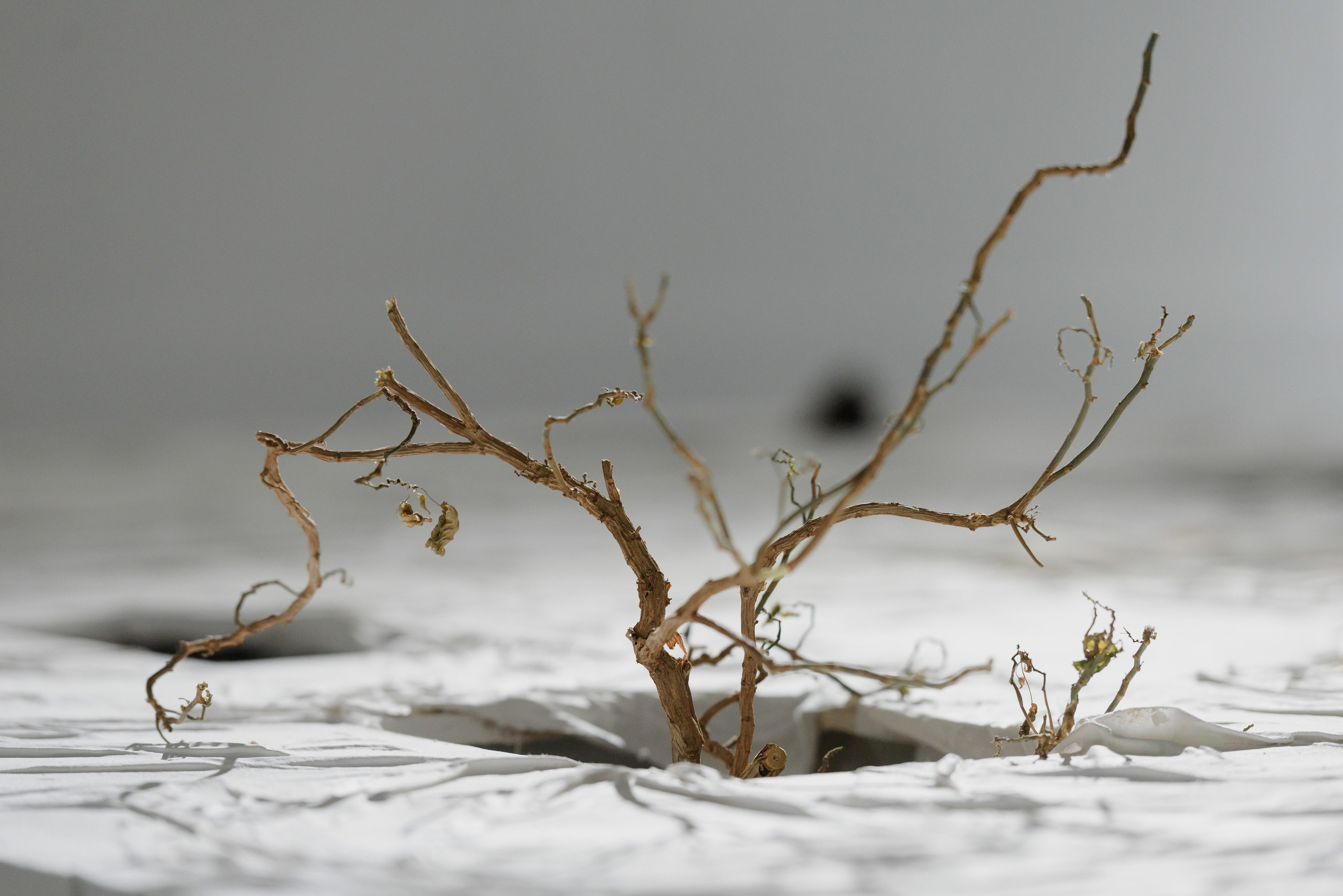 Выставки. Фотограф Руслан Хафизов