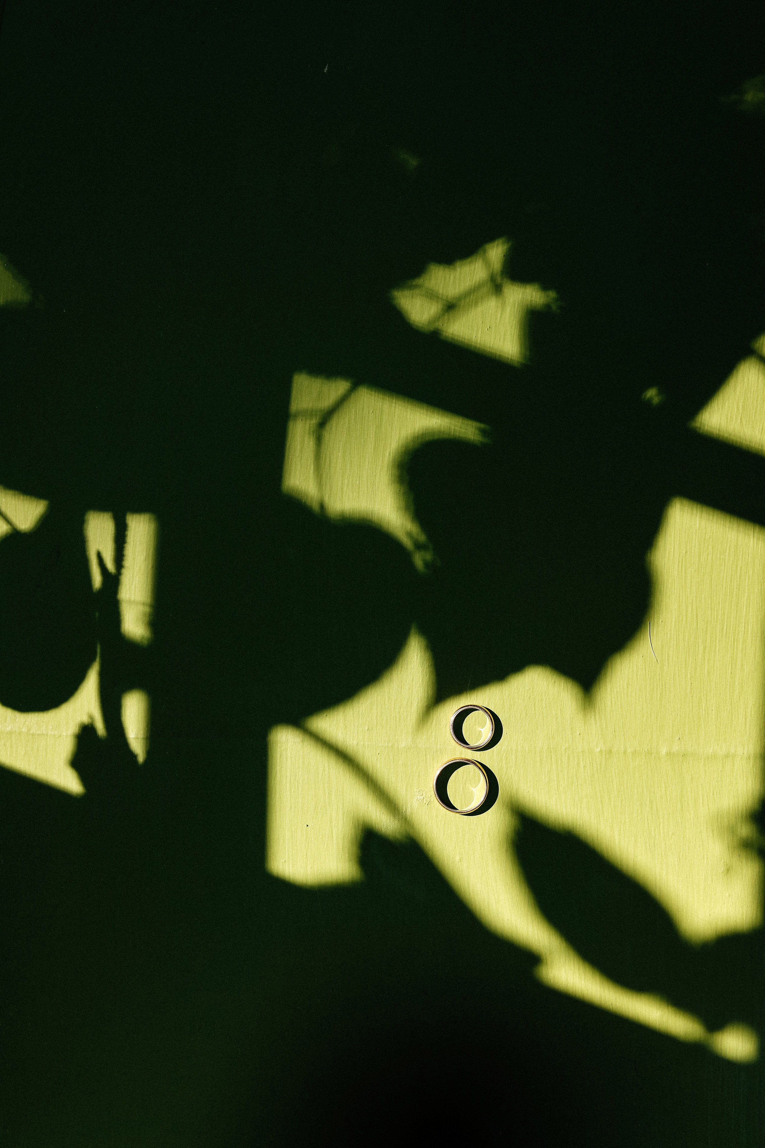 Елизавета и Александр. Главная