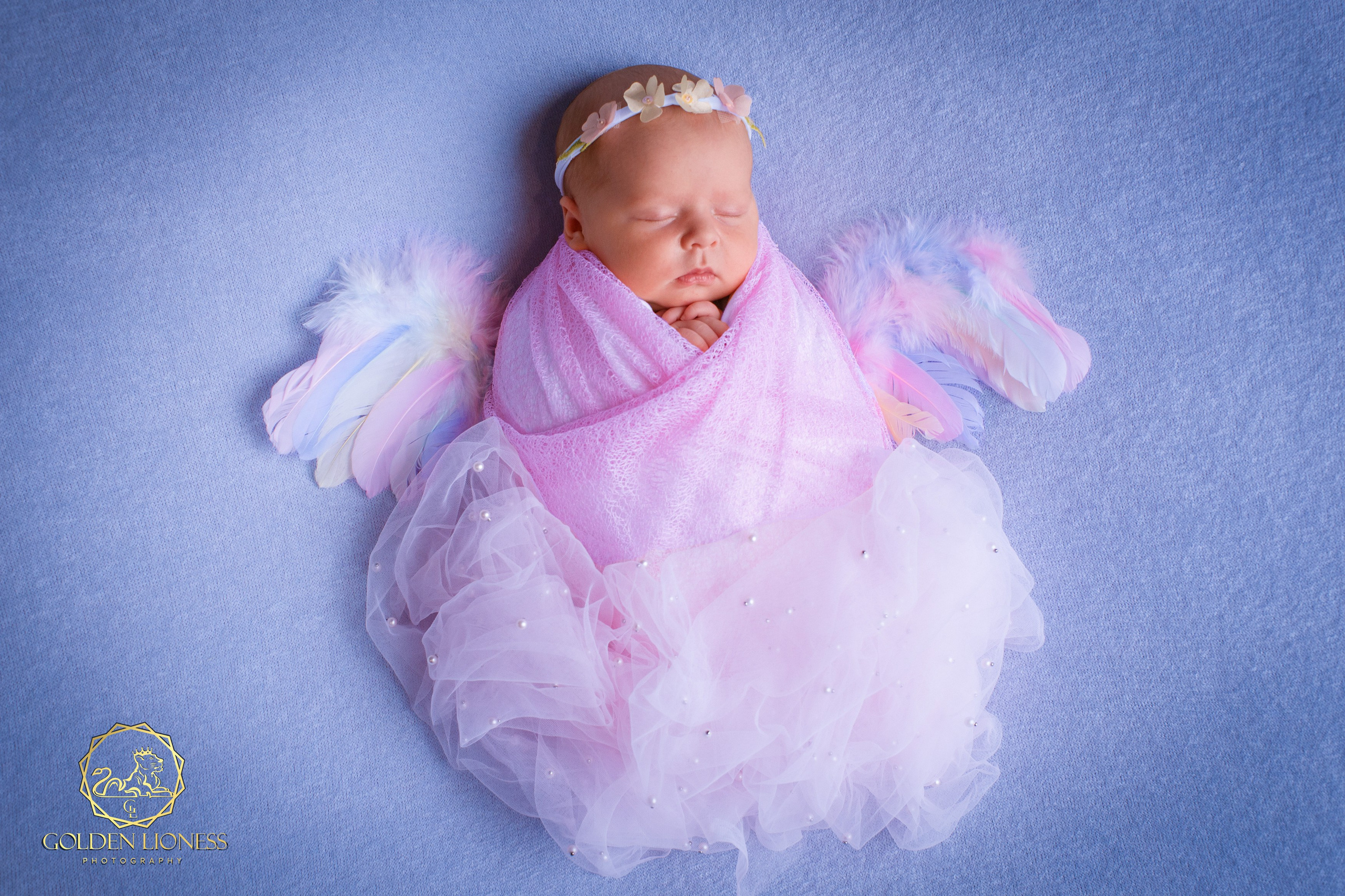 Галерея. GoldenLioness | Фотосессия новорожденных детей (newborn) Москва