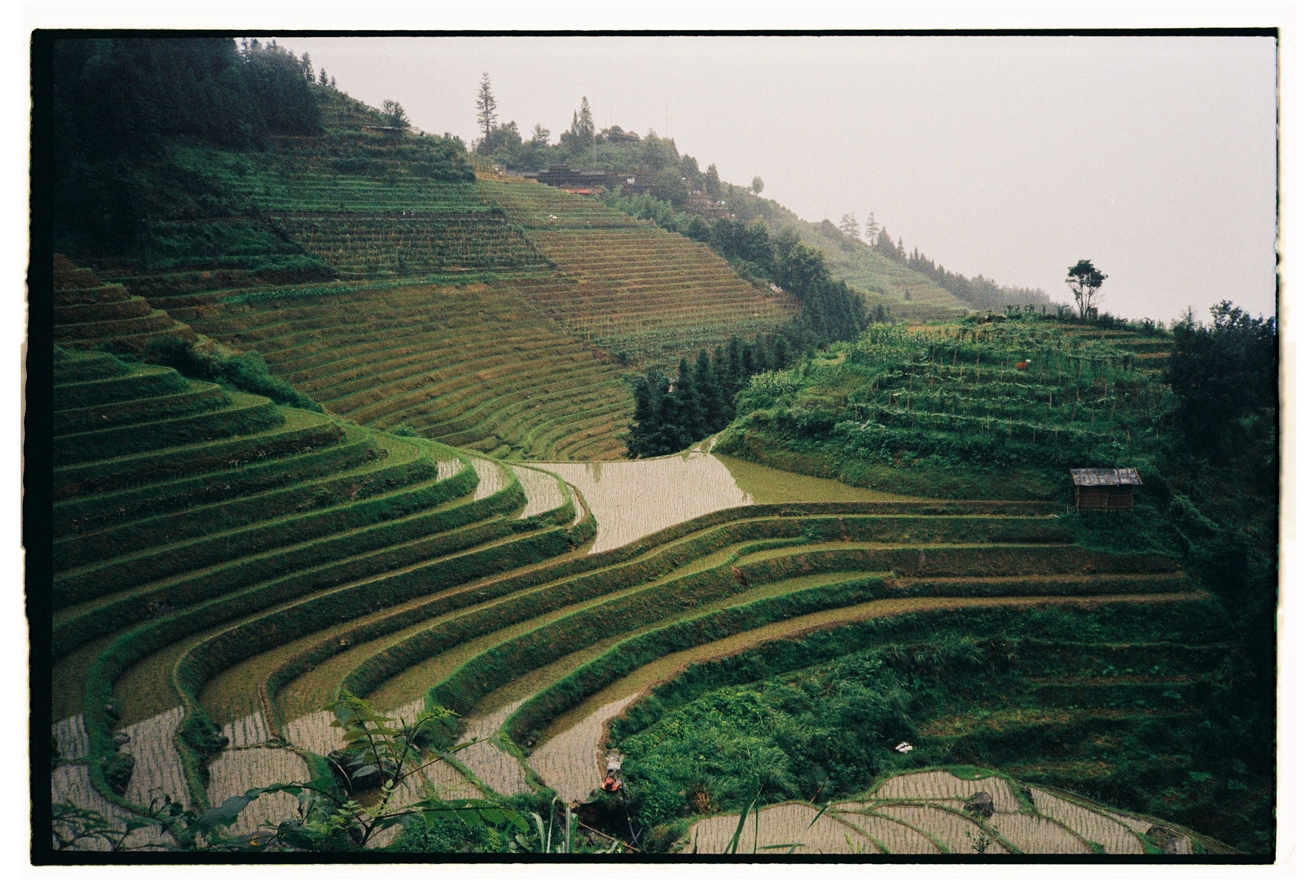 Asia. Olya Filina | Moscow Photographer