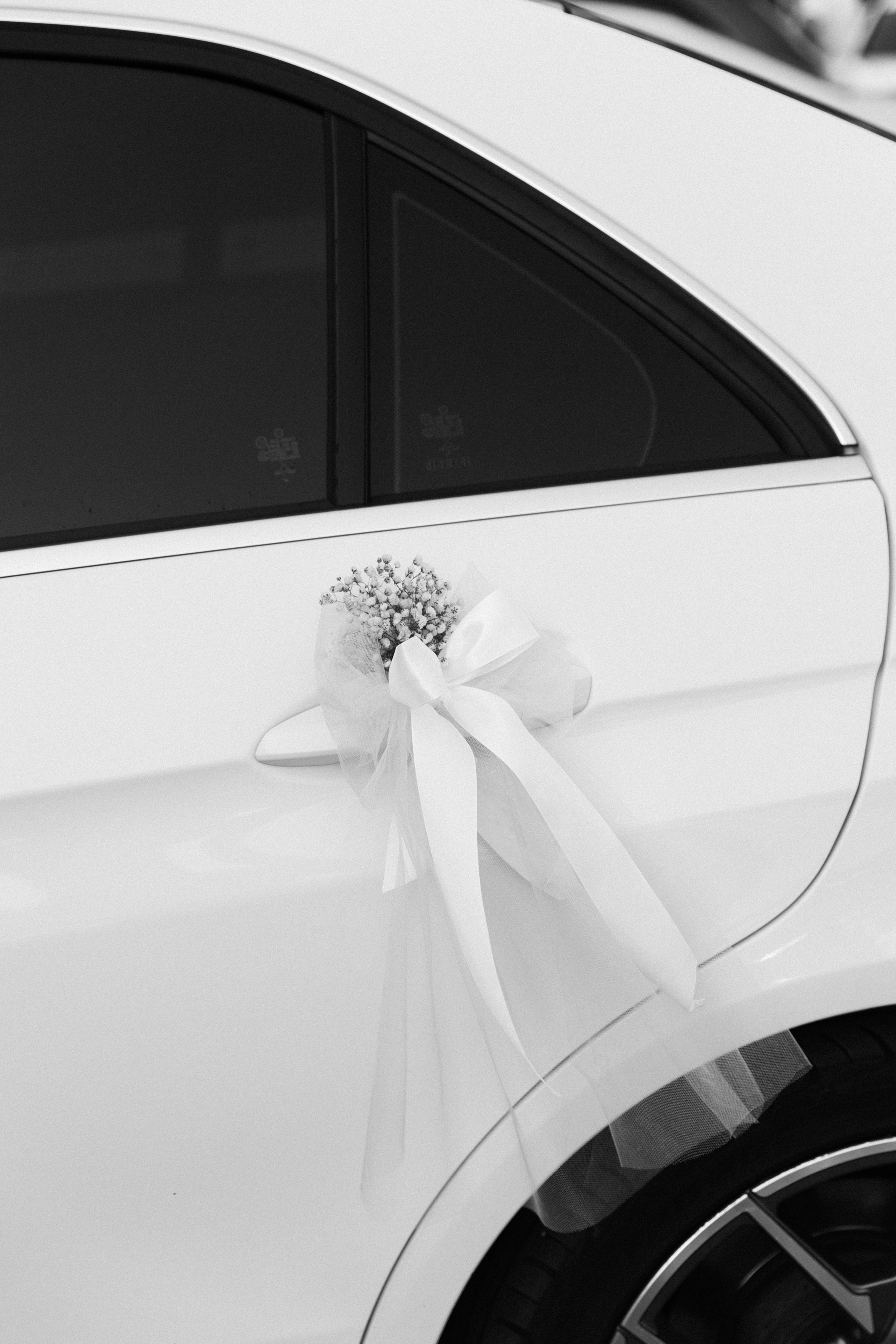 Наташа и Миша (прогулка + загс). Фотограф Нижний Новгород