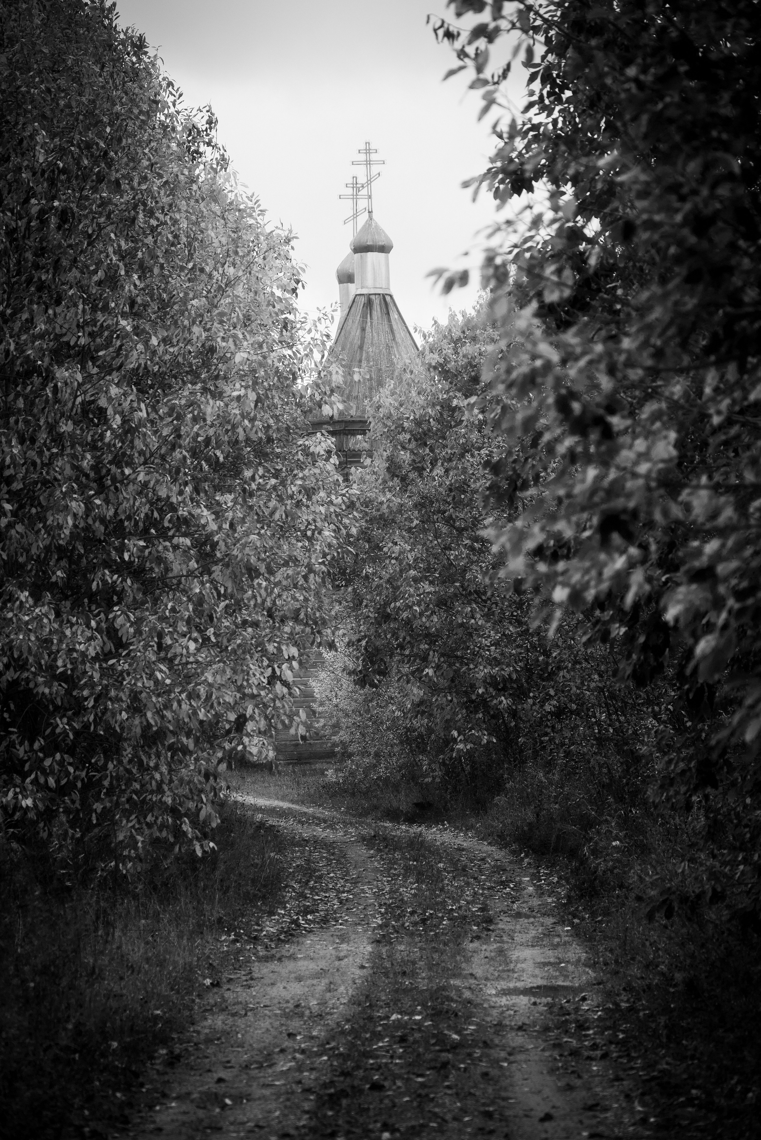 Деревня / Север I. Фотограф Антон Денисенко: Портрет, Документалистика, Пейзаж. Москва