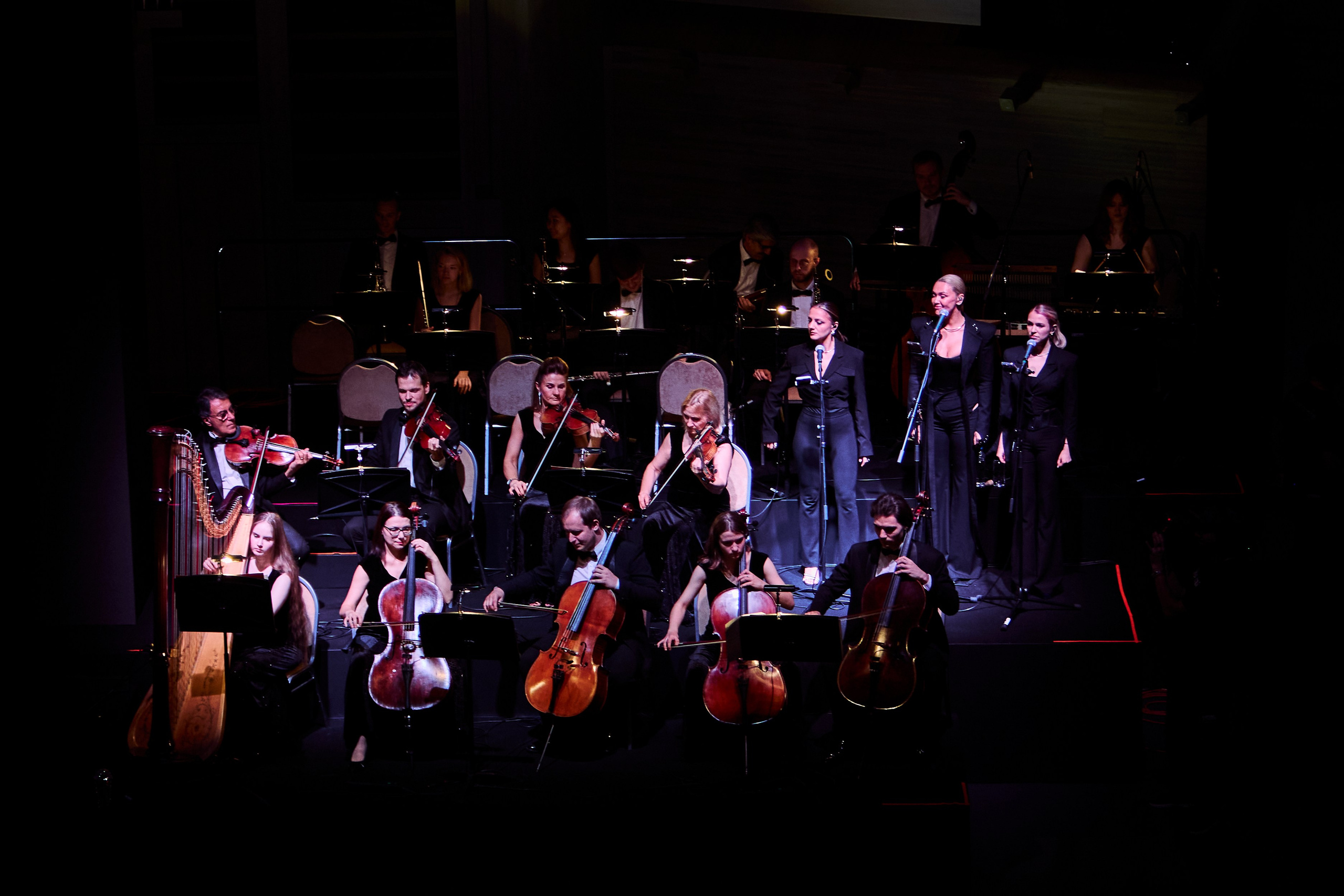 Concert. Репортажный фотограф, портретный фотограф  г. Москва