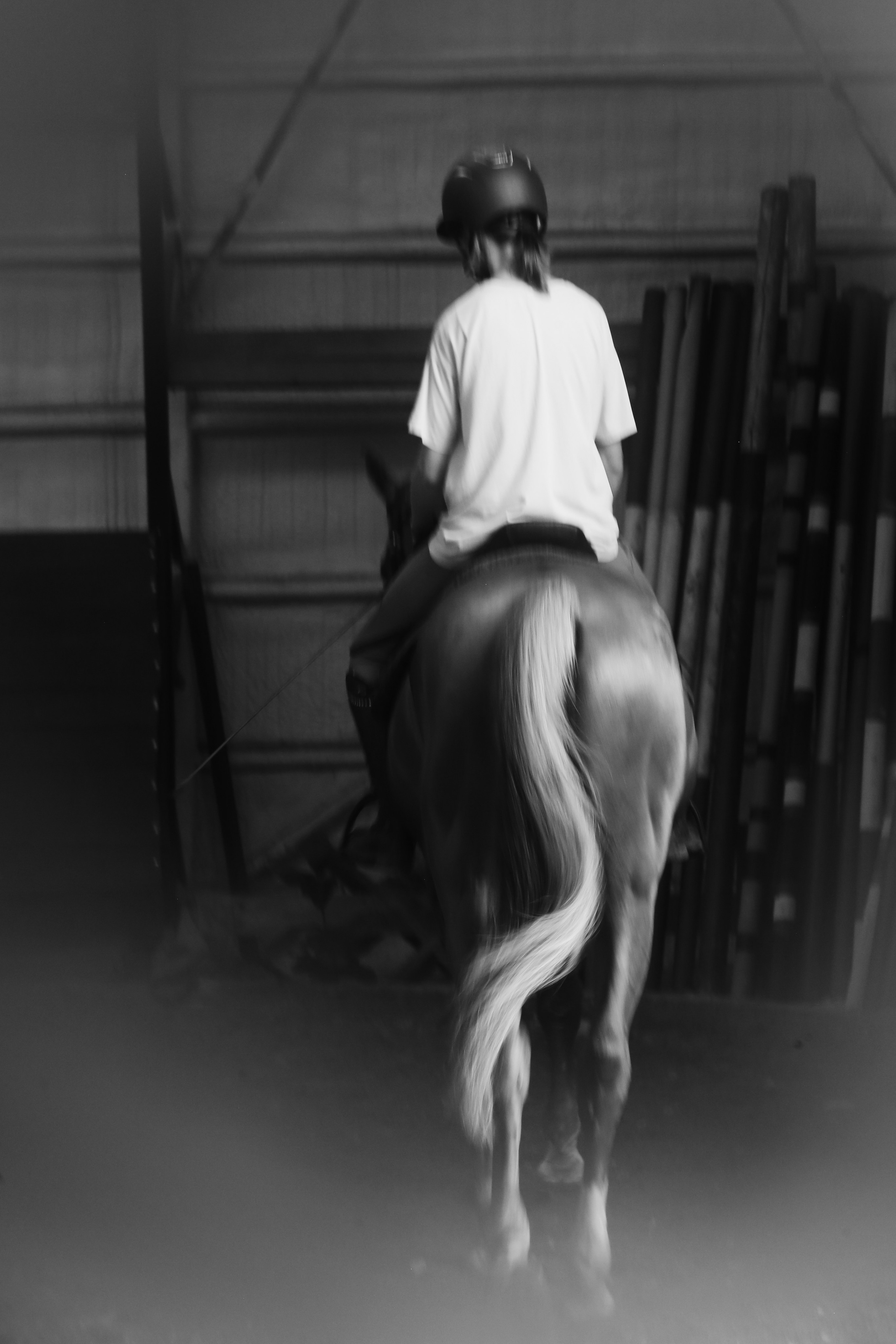 In a horse club NIMB. Фотограф Антонина Гудкова