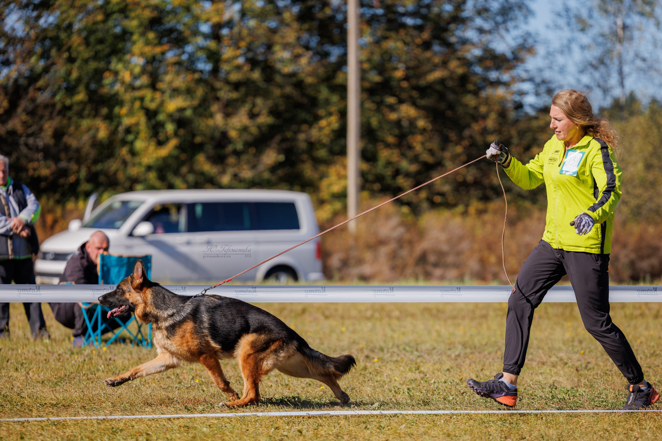 Тверь немецкие овчарки 22.09.2024. Фотограф-анималист Юлия Германика