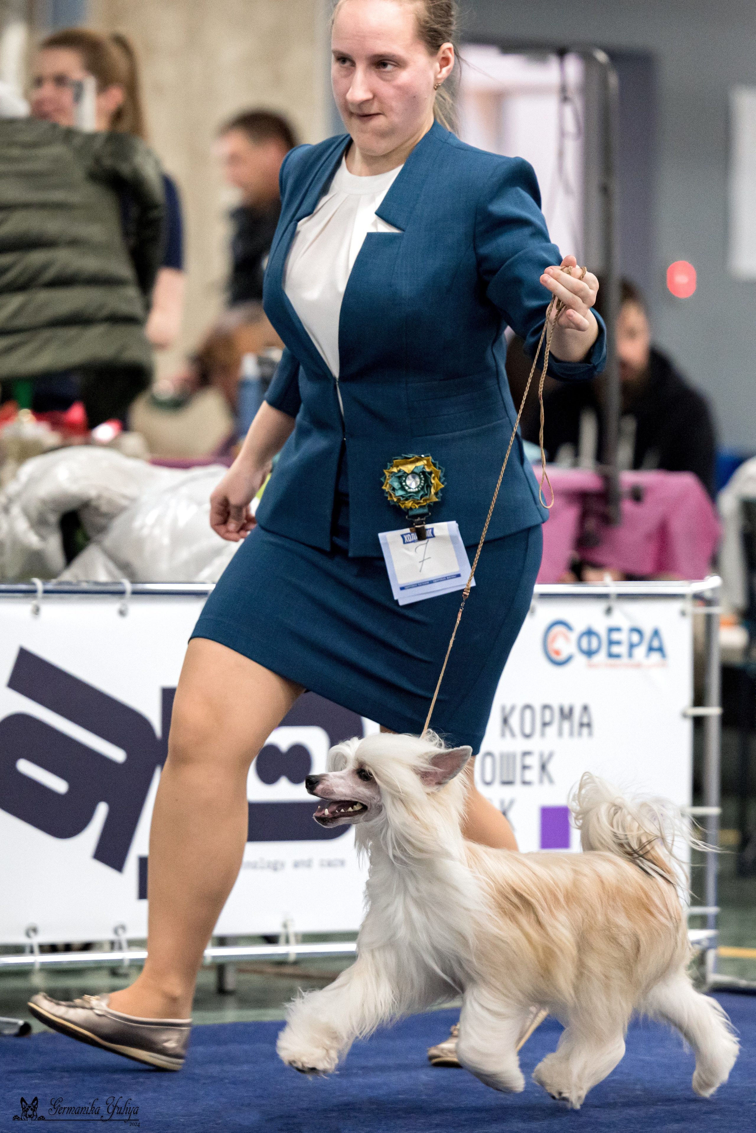 Сфера 28.01. и 4.02.2024. Фотограф-анималист Юлия Германика