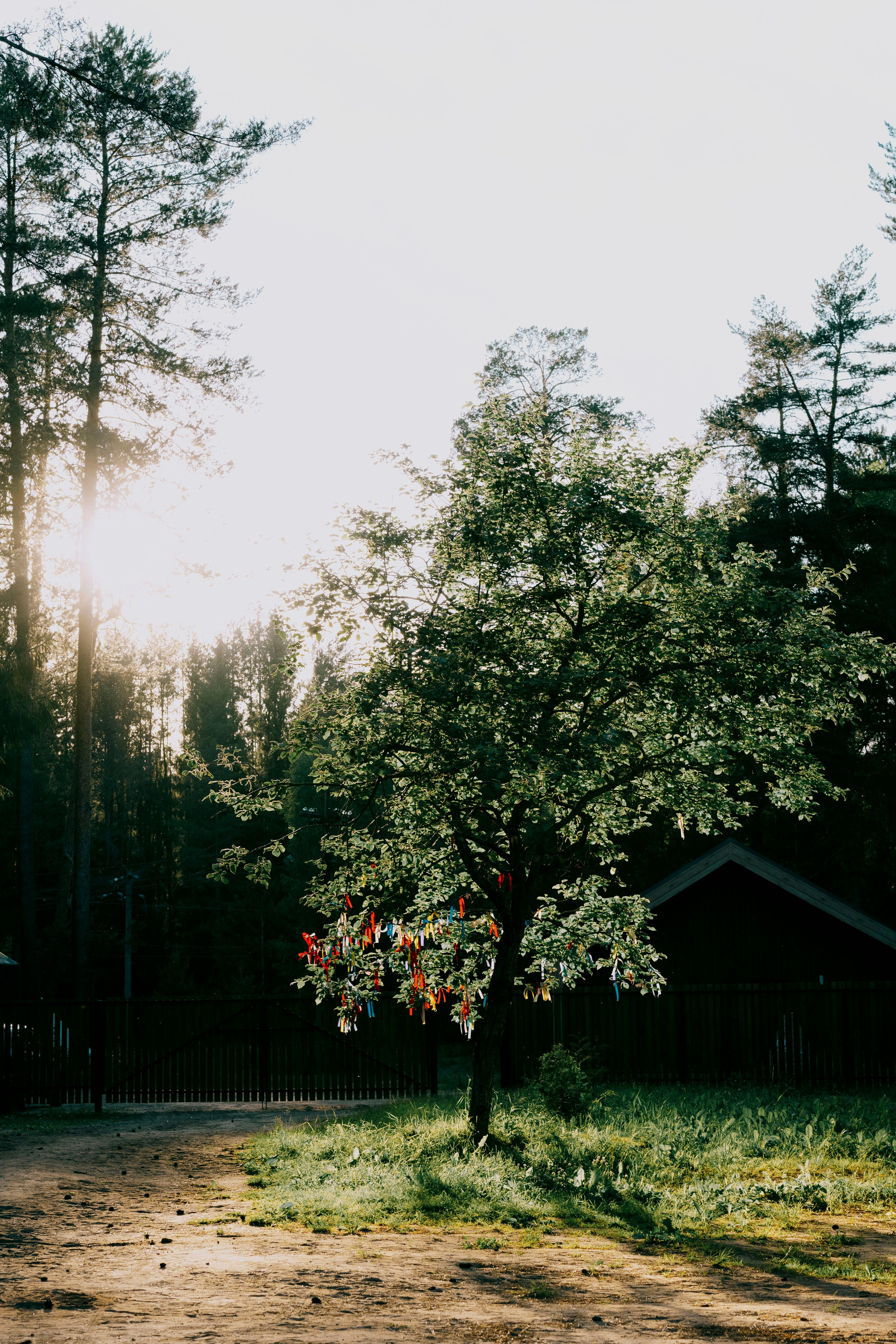 Capoeira Camp. Фотограф Киров Токарева Марина
