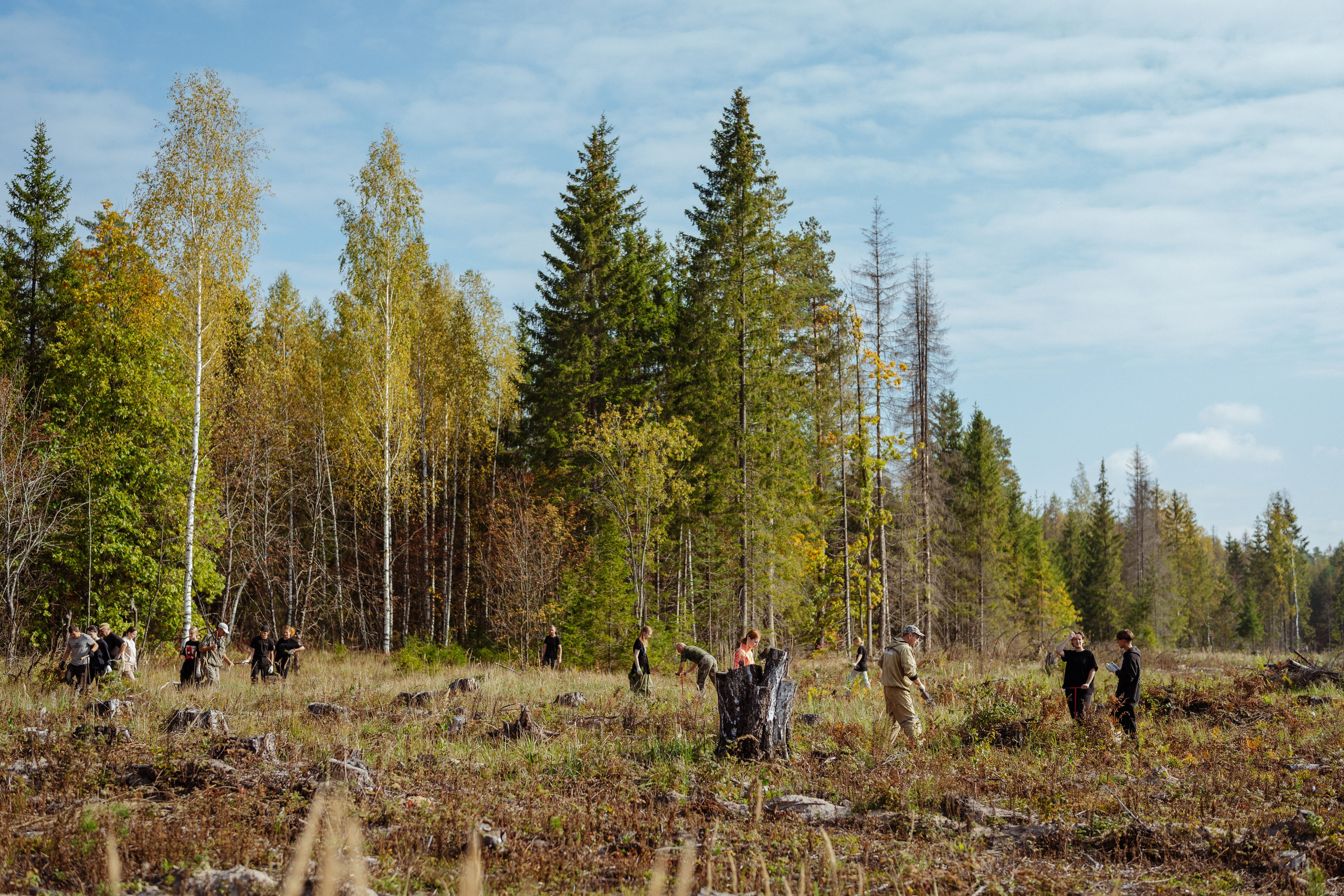 СБЕР · ЭКА · Посадка сеянцев. Владимир Вершинин, тот самый свадебный видеограф