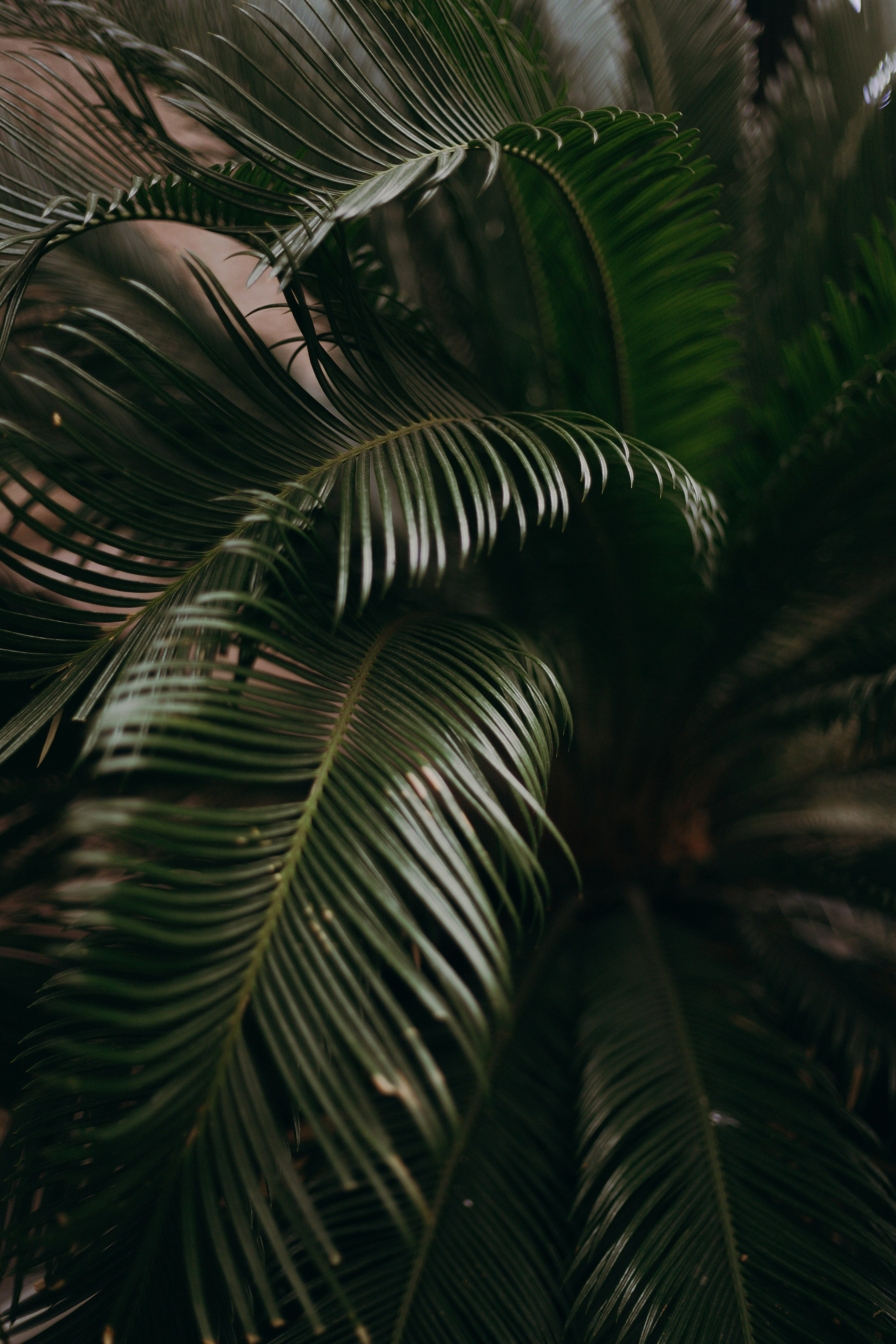 Стамбул. Профессиональный Фотограф во Владимире, в Москве и в Суздале — Полина Романычева