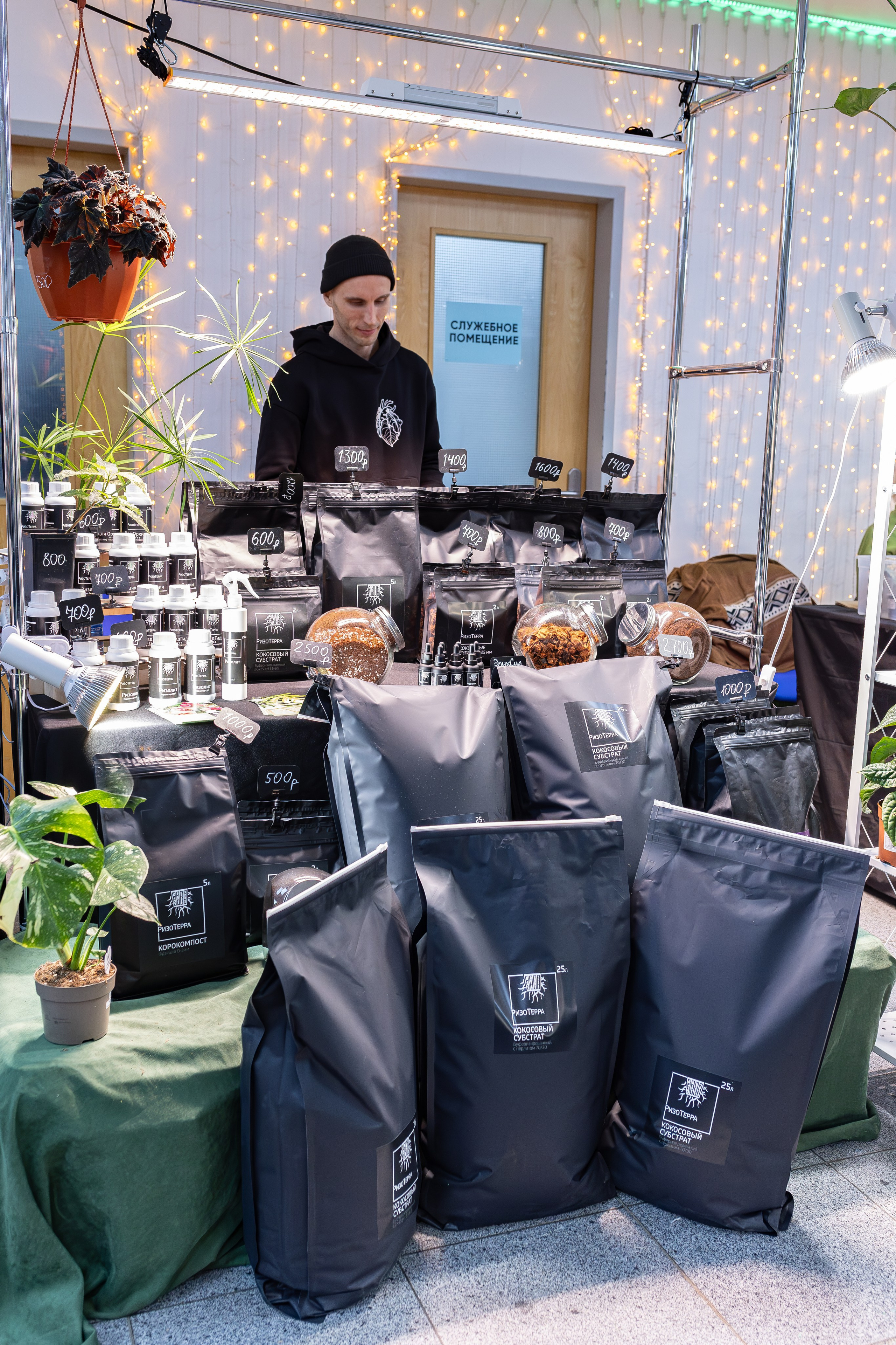 Орхидиум 12.2025. Александра Куликова фотограф, Москва