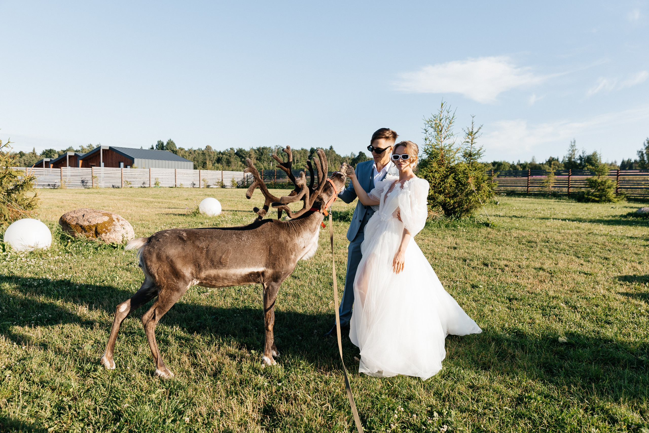 Александр и Евгения. Свадебный и репортажный фотограф в Санкт-Петербурге Николай Голованов