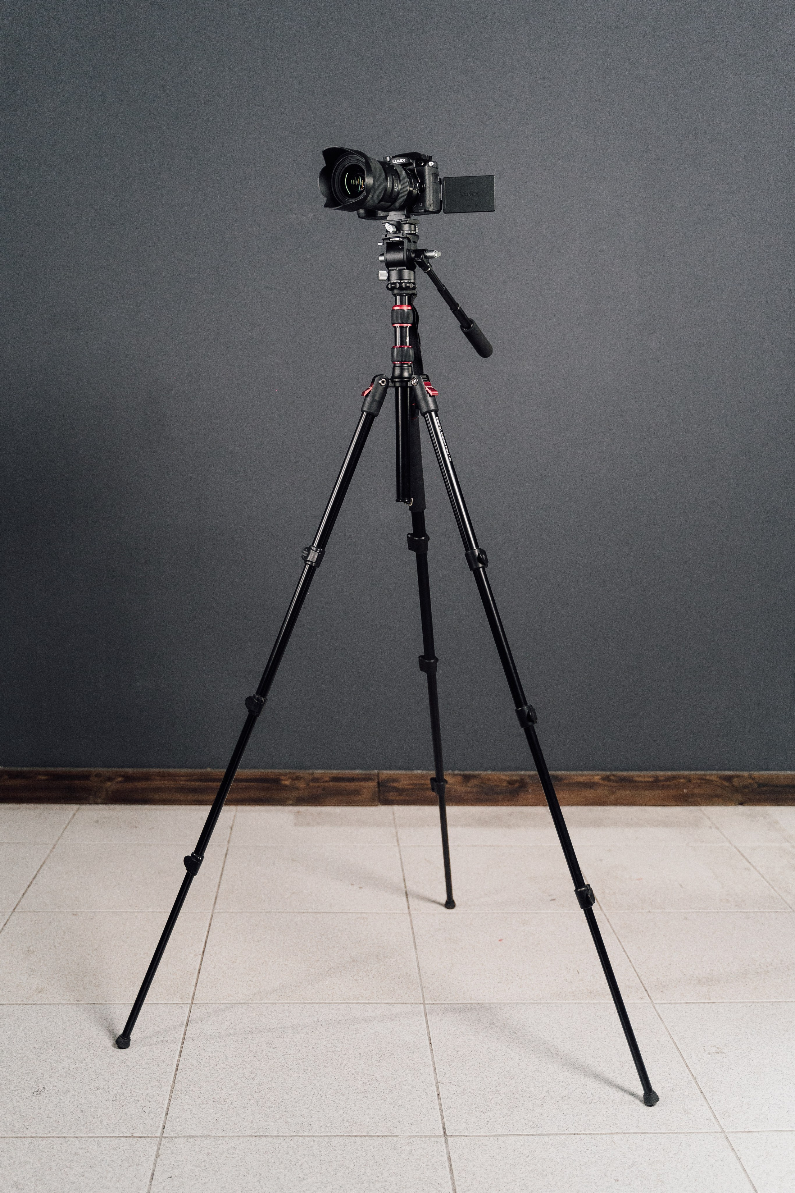 Интерьерная. Kamelia Candy фотограф Самара/ Москва