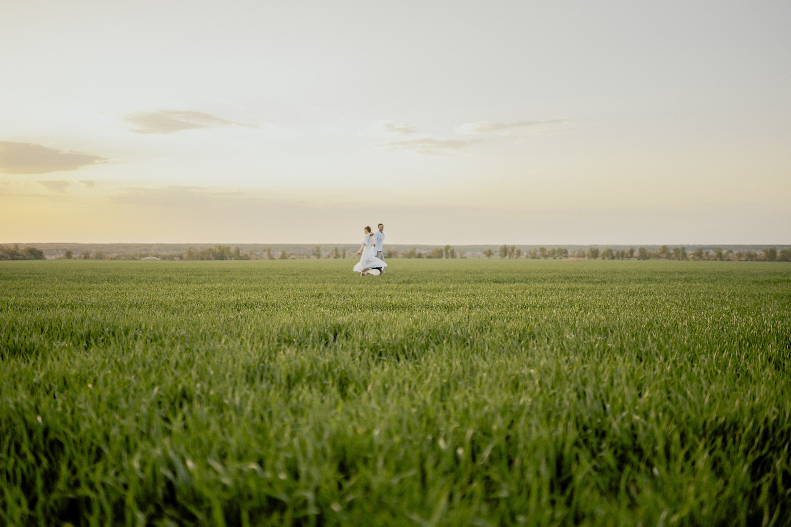 Поле. Фотограф Мария Зайчик