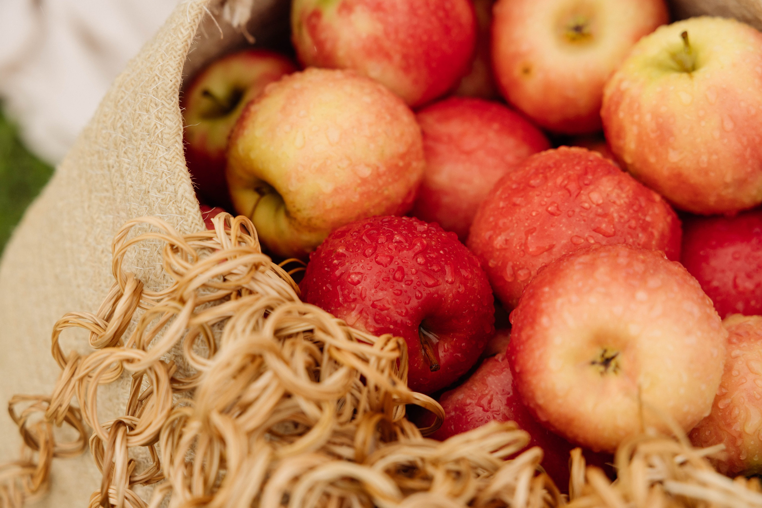 Летнее корпоративное событие ПАО «Совкомбанк». Свадебный фотограф Красноярск Элина Леонова