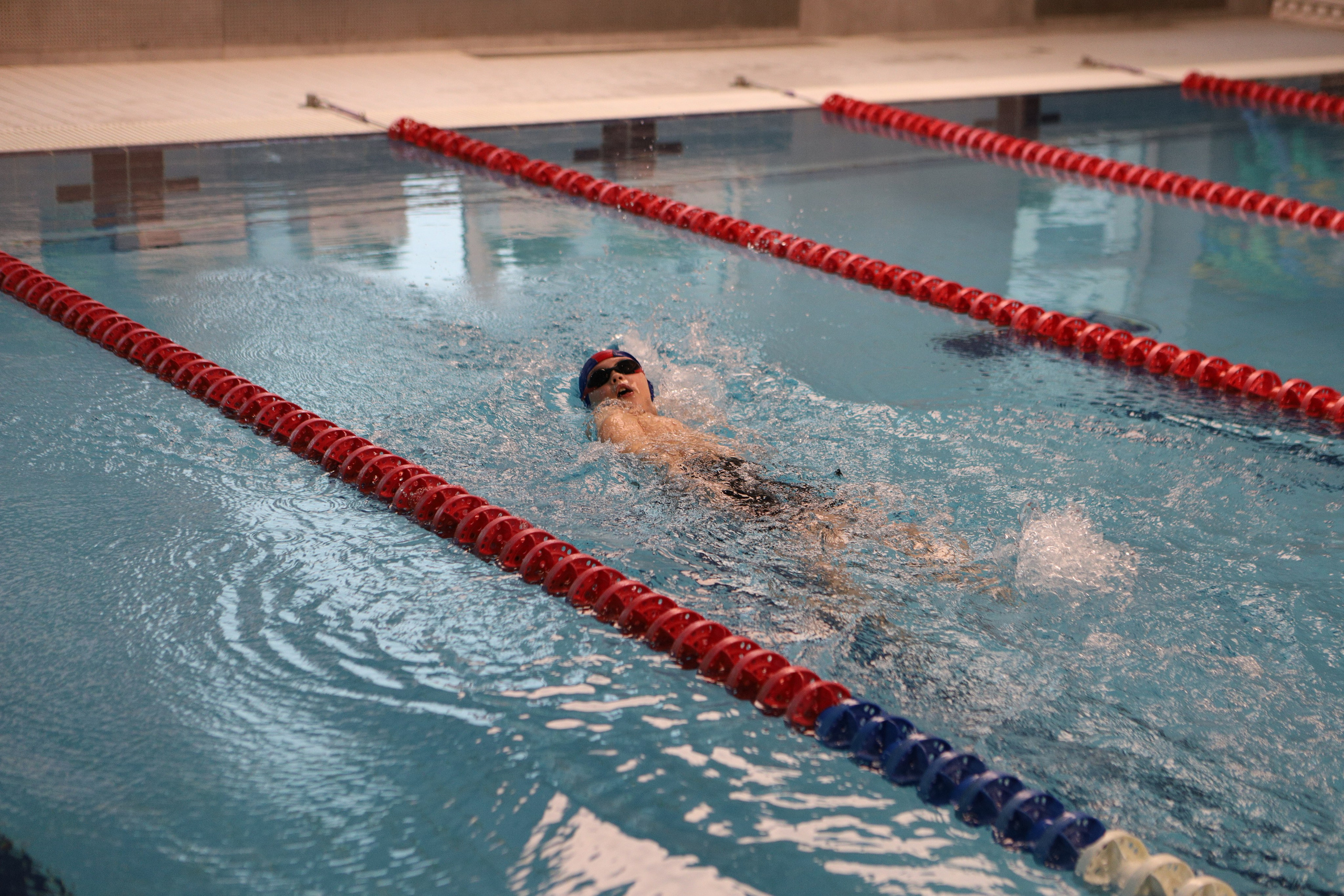 Соревнования по плаванию. Фотограф Москва — Сергеева Анастасия